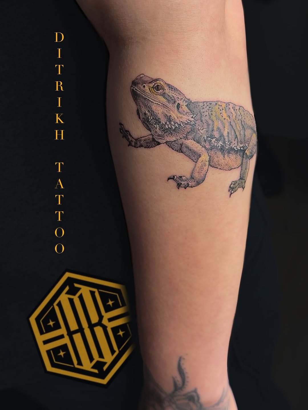 Bearded dragon fine line tattoo on the forearm by KET, Calgary, Alberta