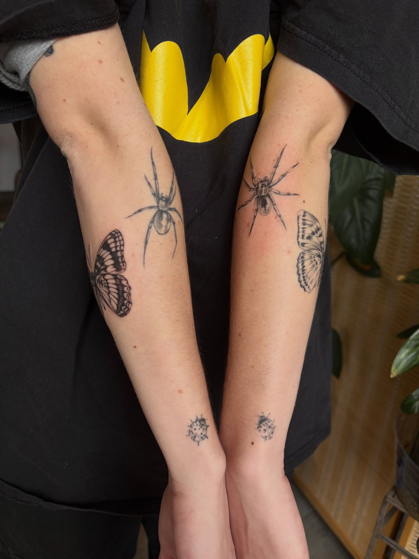 Spider and butterfly realism tattoo on the forearm by emery ♡ slc utah tattoo artist
