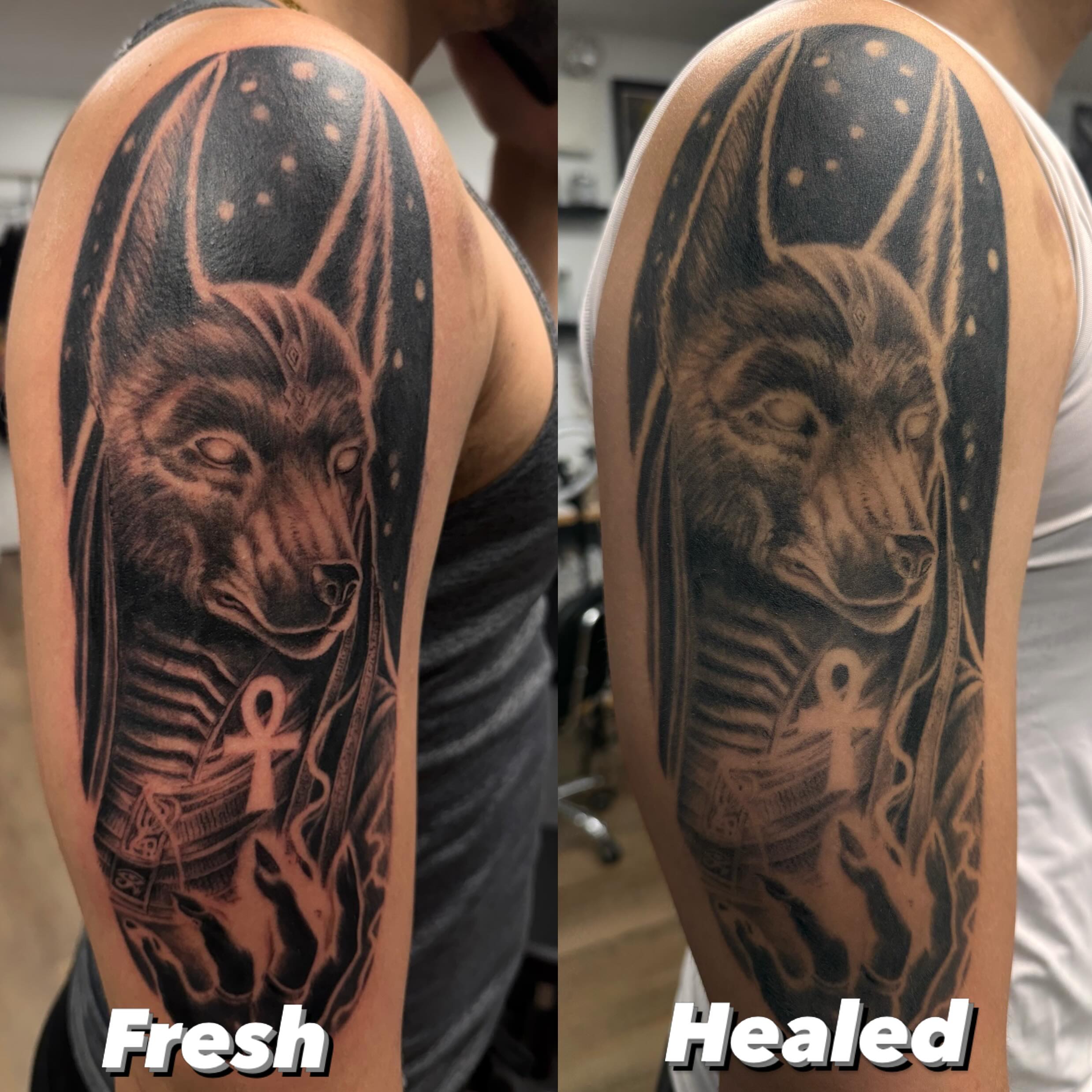 Wolf and ankh realism tattoo on the forearm by Tattoos by Fesik LLC
