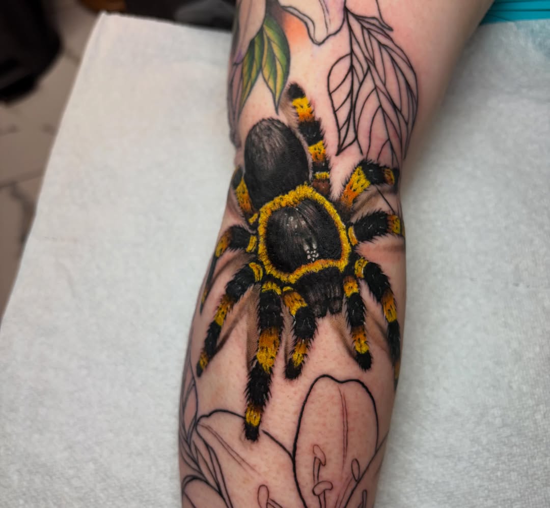 Tarantula realism tattoo on the forearm by Rachel Sellers