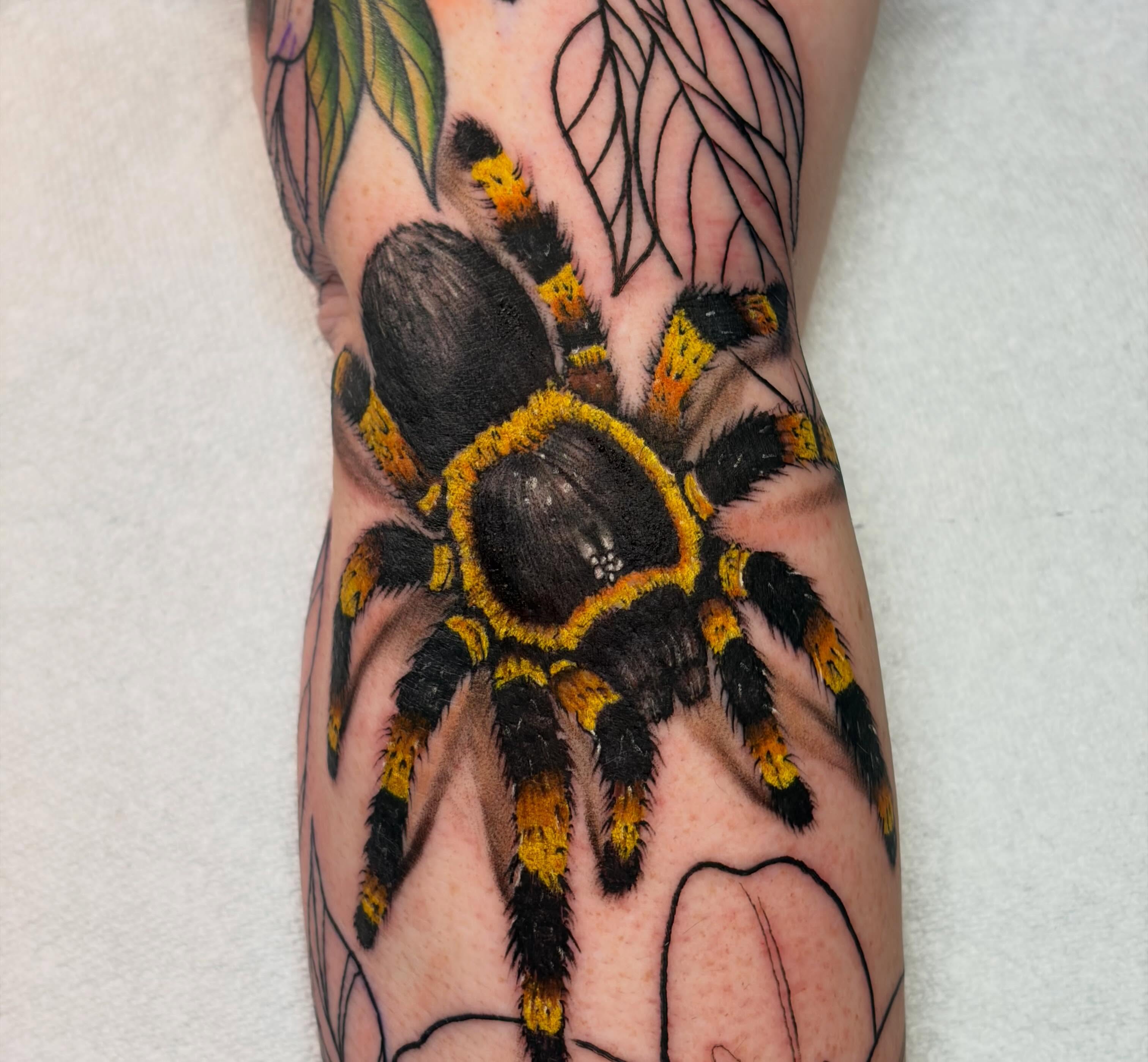 Tarantula realism tattoo on the forearm by Rachel Sellers