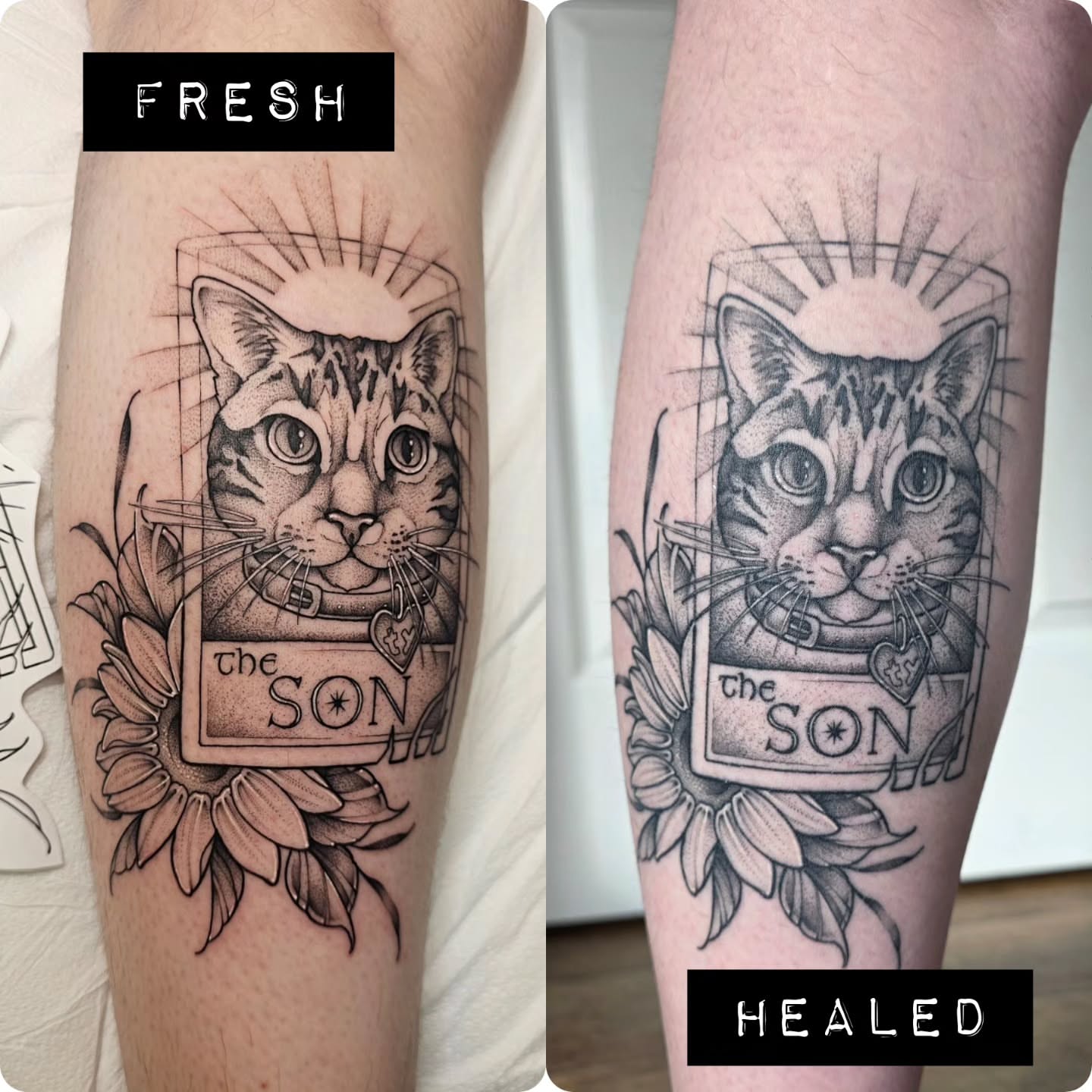Cat realism tattoo on the forearm by Dani Bond