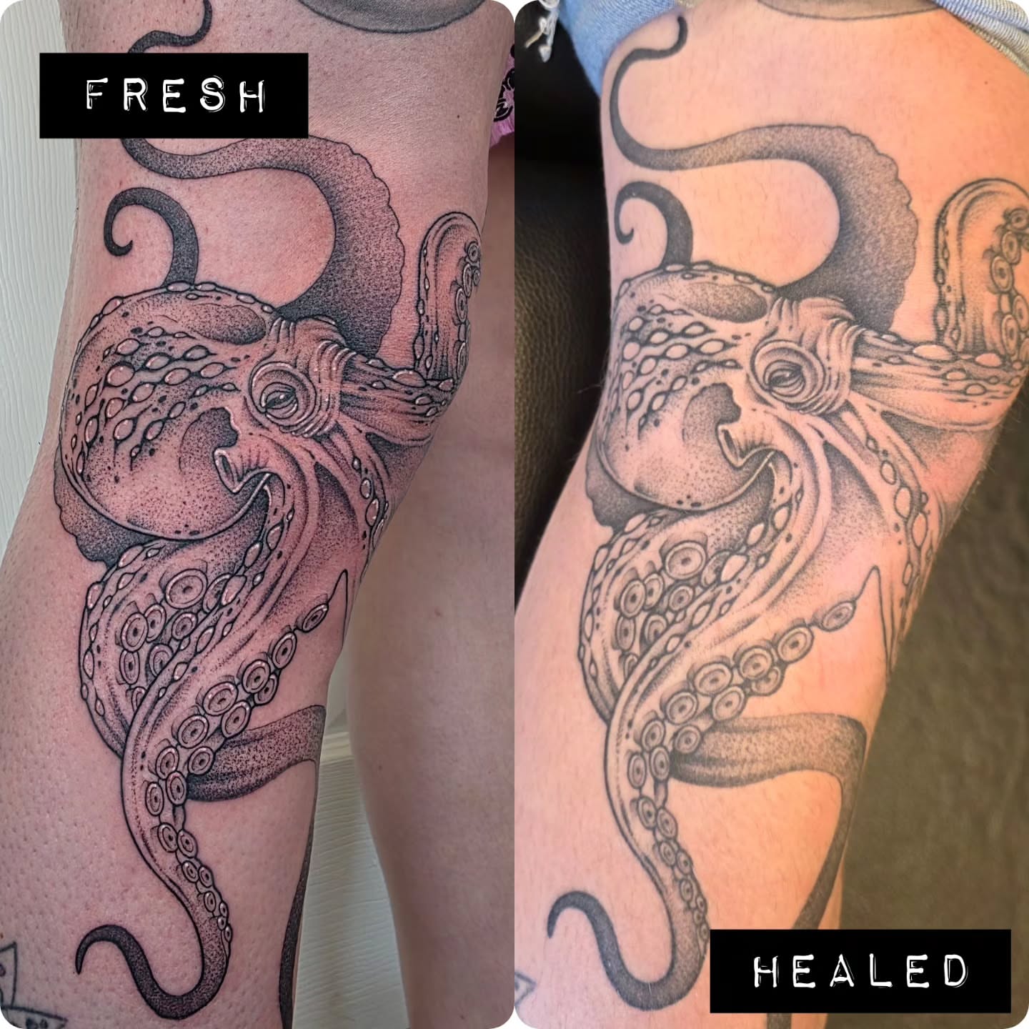 Octopus dotwork tattoo on the forearm by Dani Bond