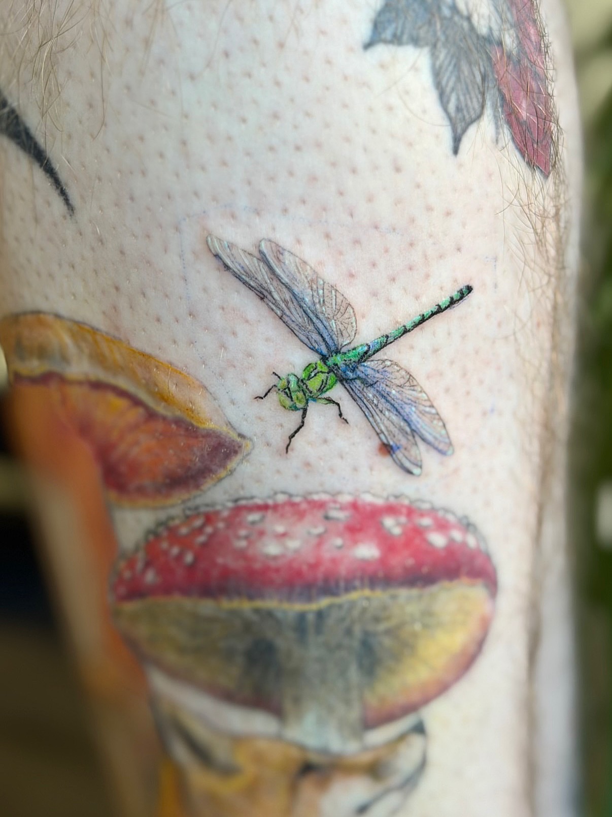 Tattoo by @midnight.aries.art — realism