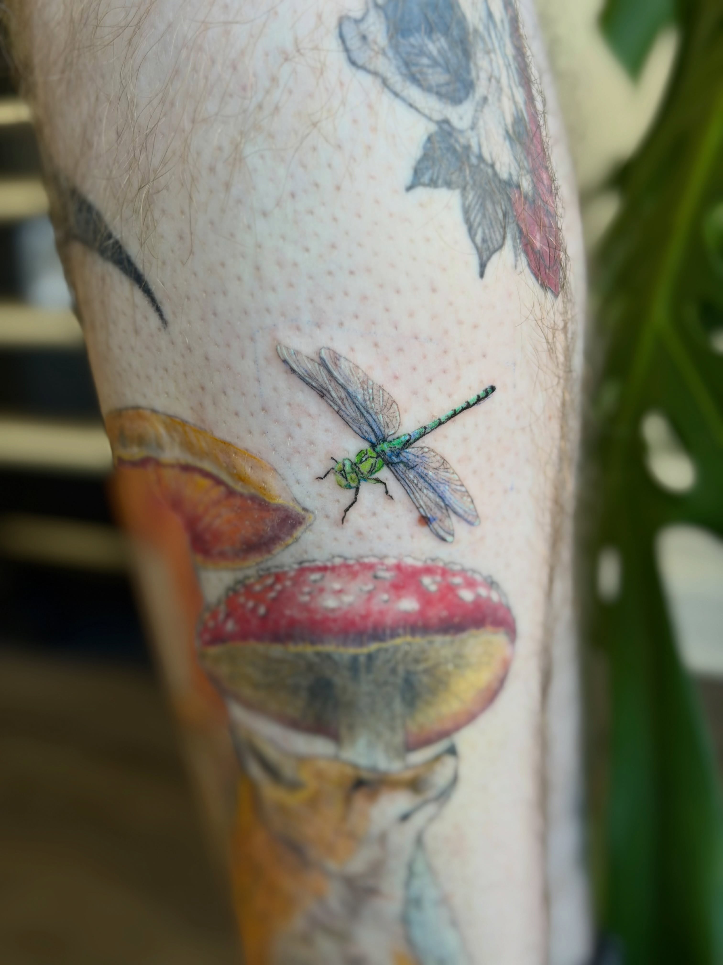 Tattoo by @midnight.aries.art — realism