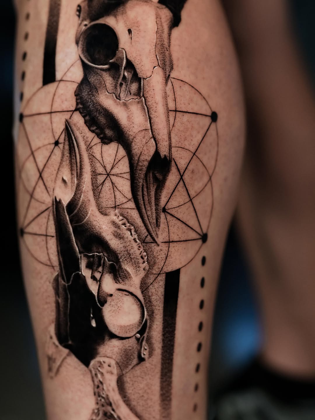 Animal skulls with geometric patterns geometric tattoo on the forearm by Nikita Grinenko, San Francisco