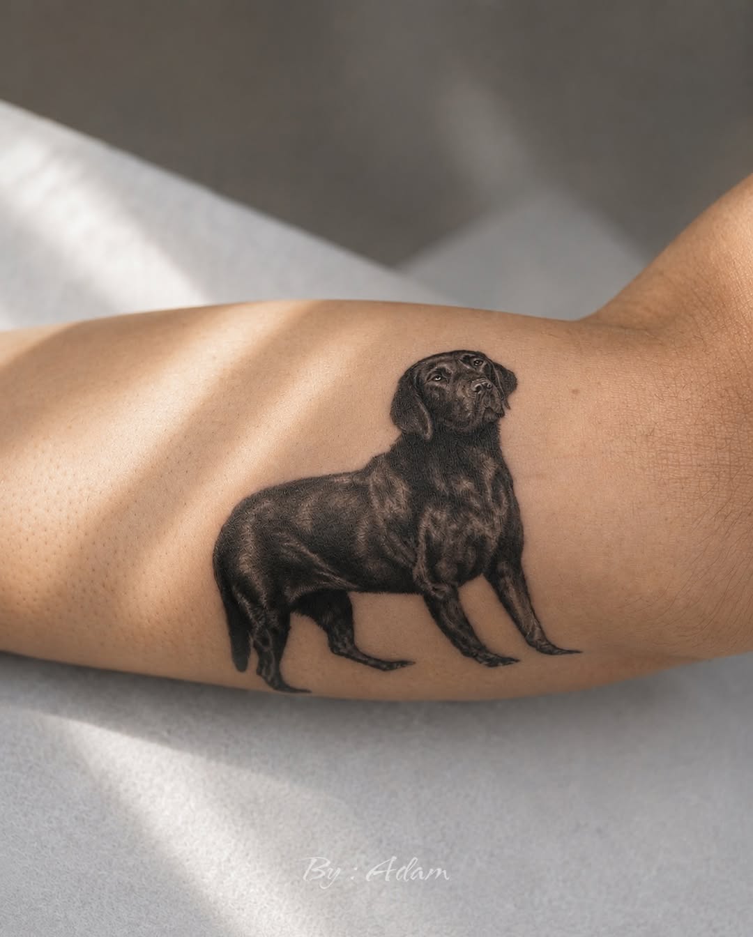 Black labrador dog realism tattoo on the forearm by Adam_Zhiwei Xu(Tattooist)