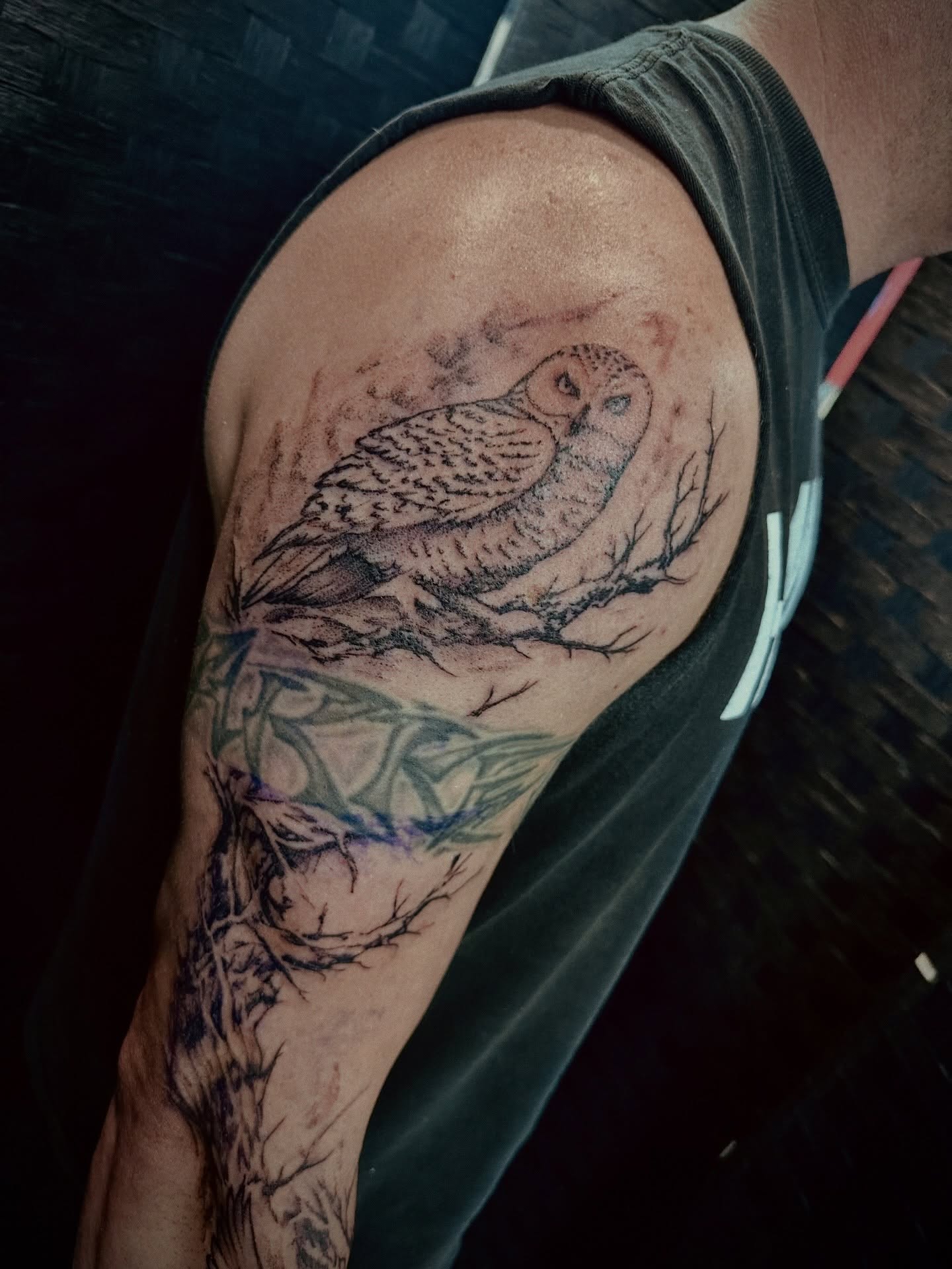 Owl realism tattoo on the upper arm by Marlyn “Lala”