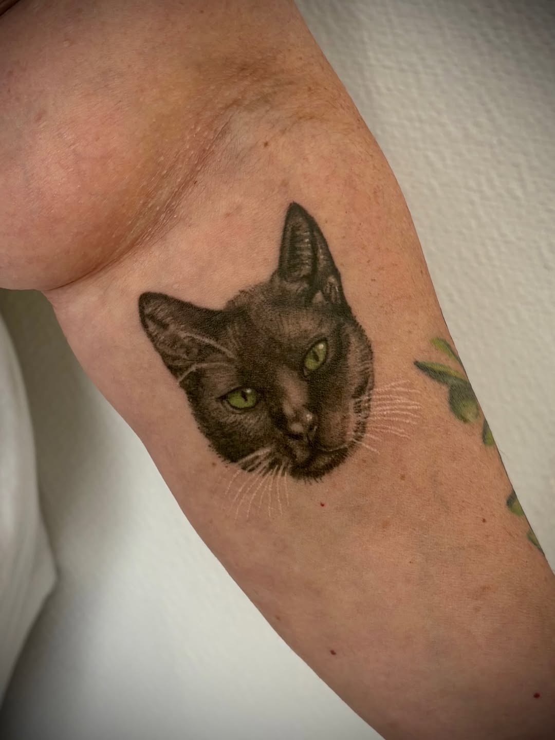 Black cat portrait realism tattoo on the forearm by Deborah