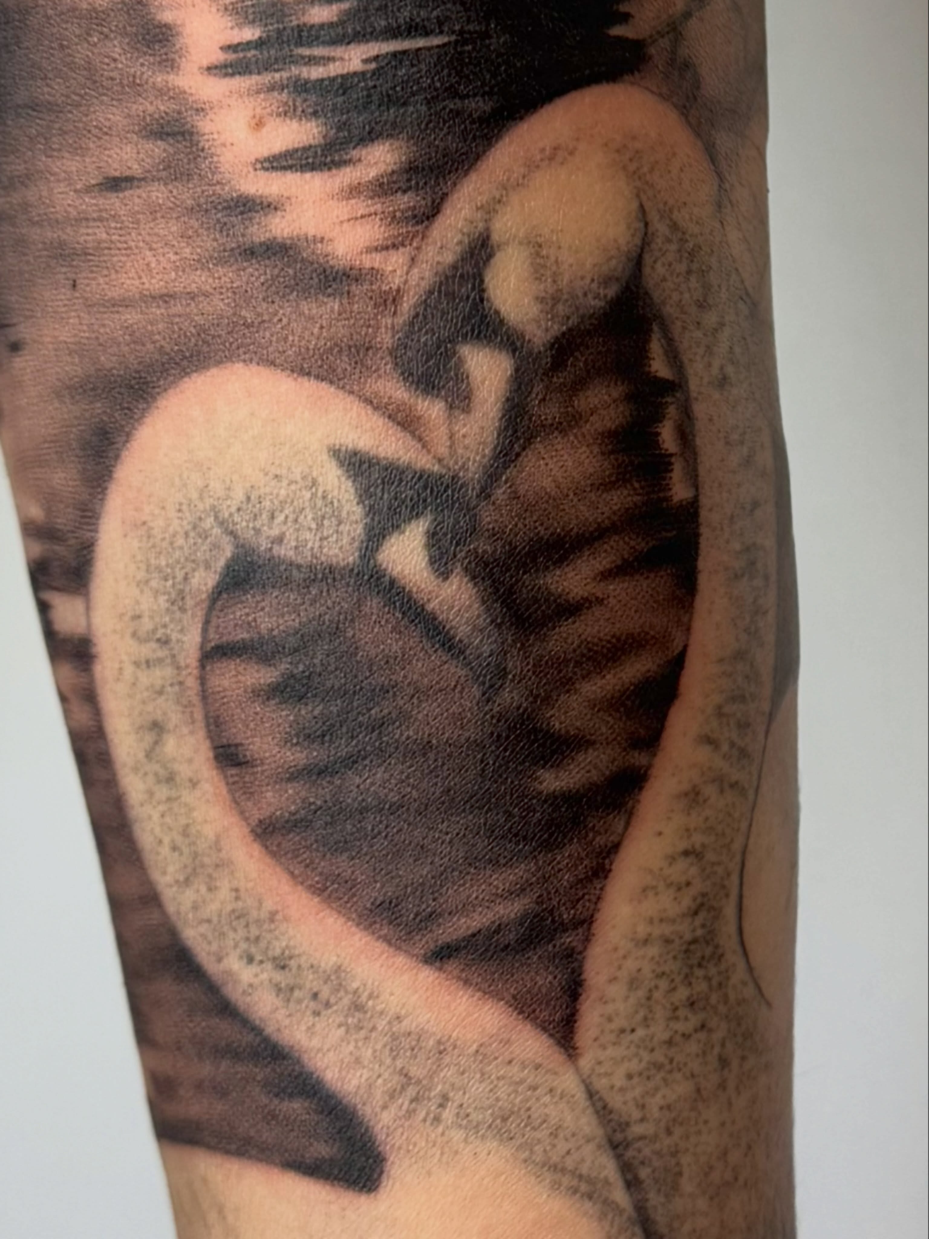 Tattoo by @yani.inkz — realism, dotwork
