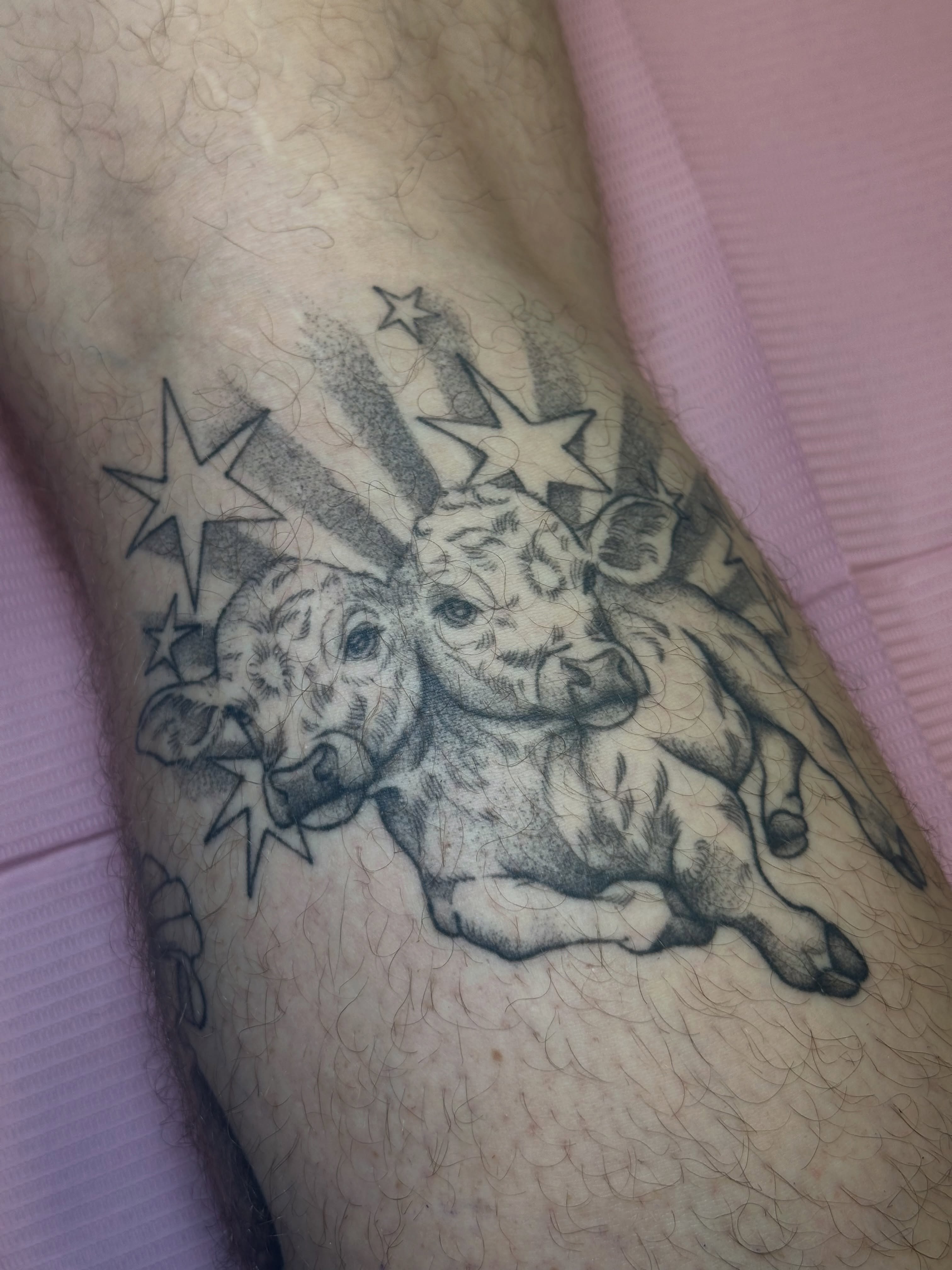 Calves and stars black and grey tattoo on the forearm by kennedy :) π±πΏ
