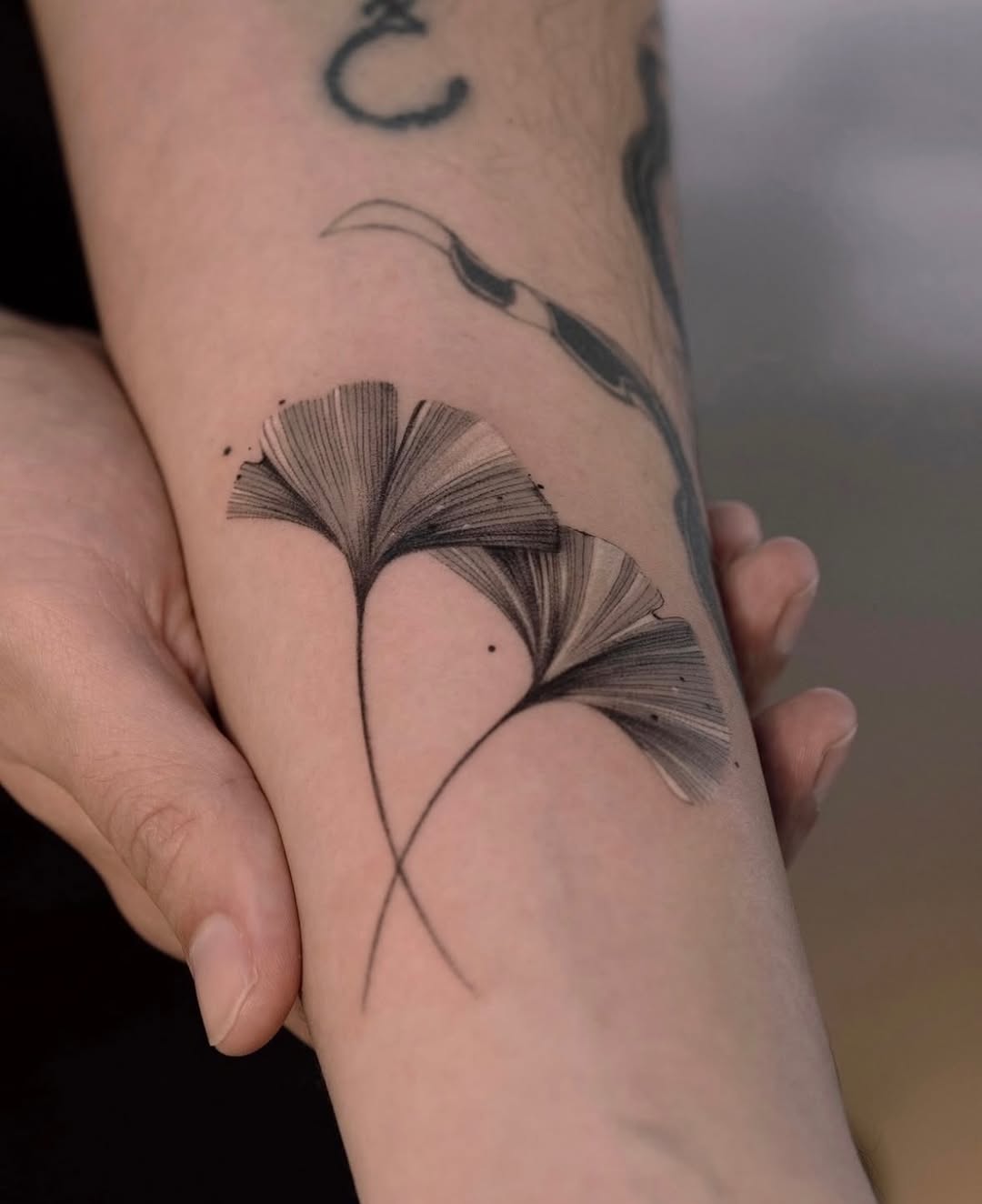 Tattoo by @tattooist_hea — fine_line, black_and_grey