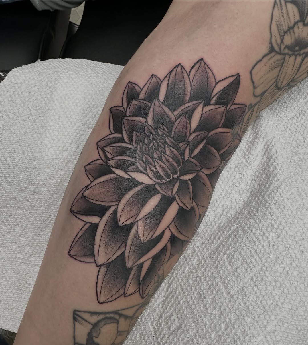 Dahlia black and grey tattoo on the forearm by Nicki Hoverson