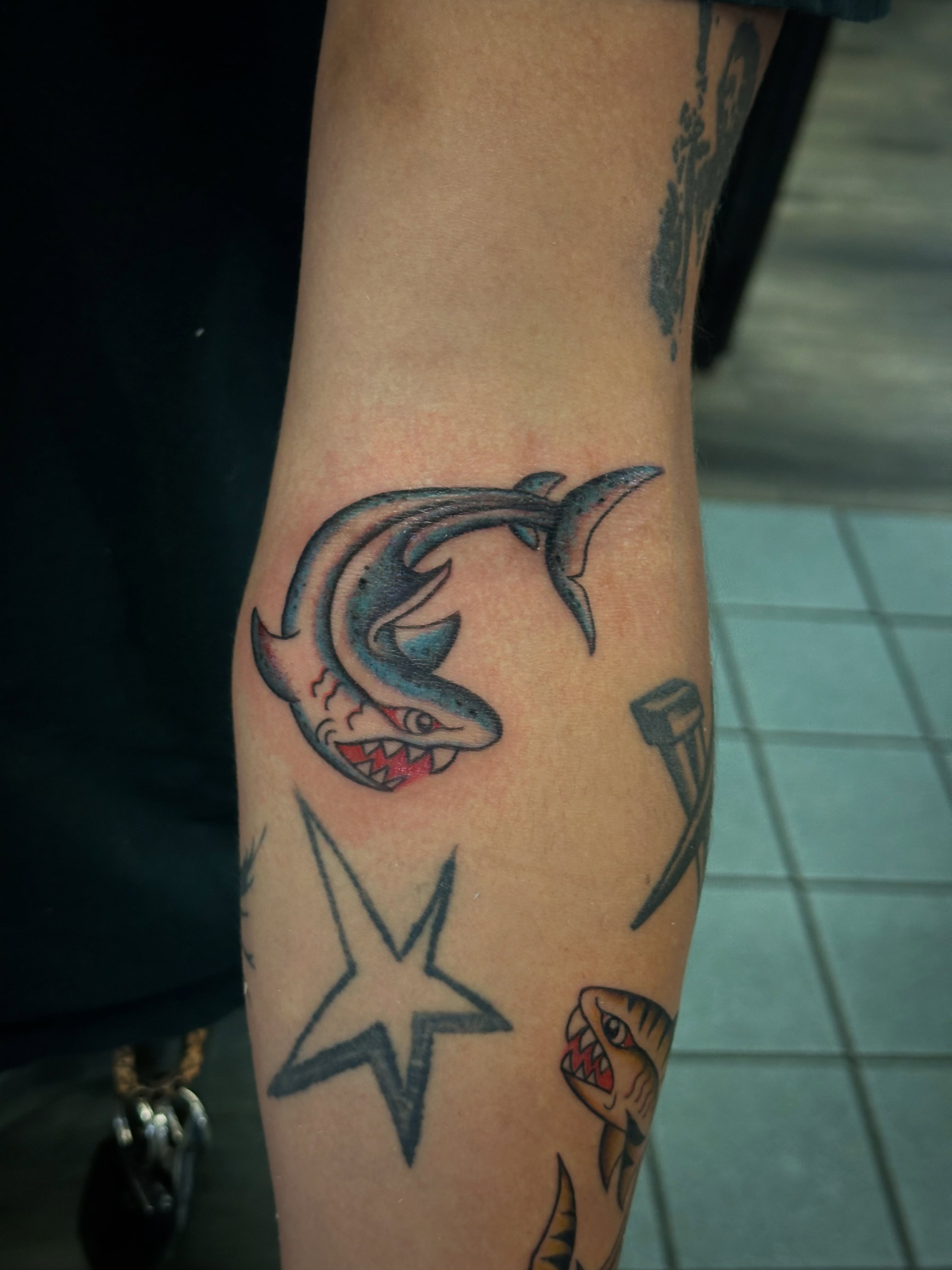 Shark American traditional tattoo on the forearm by 🥀Chloe Miller
