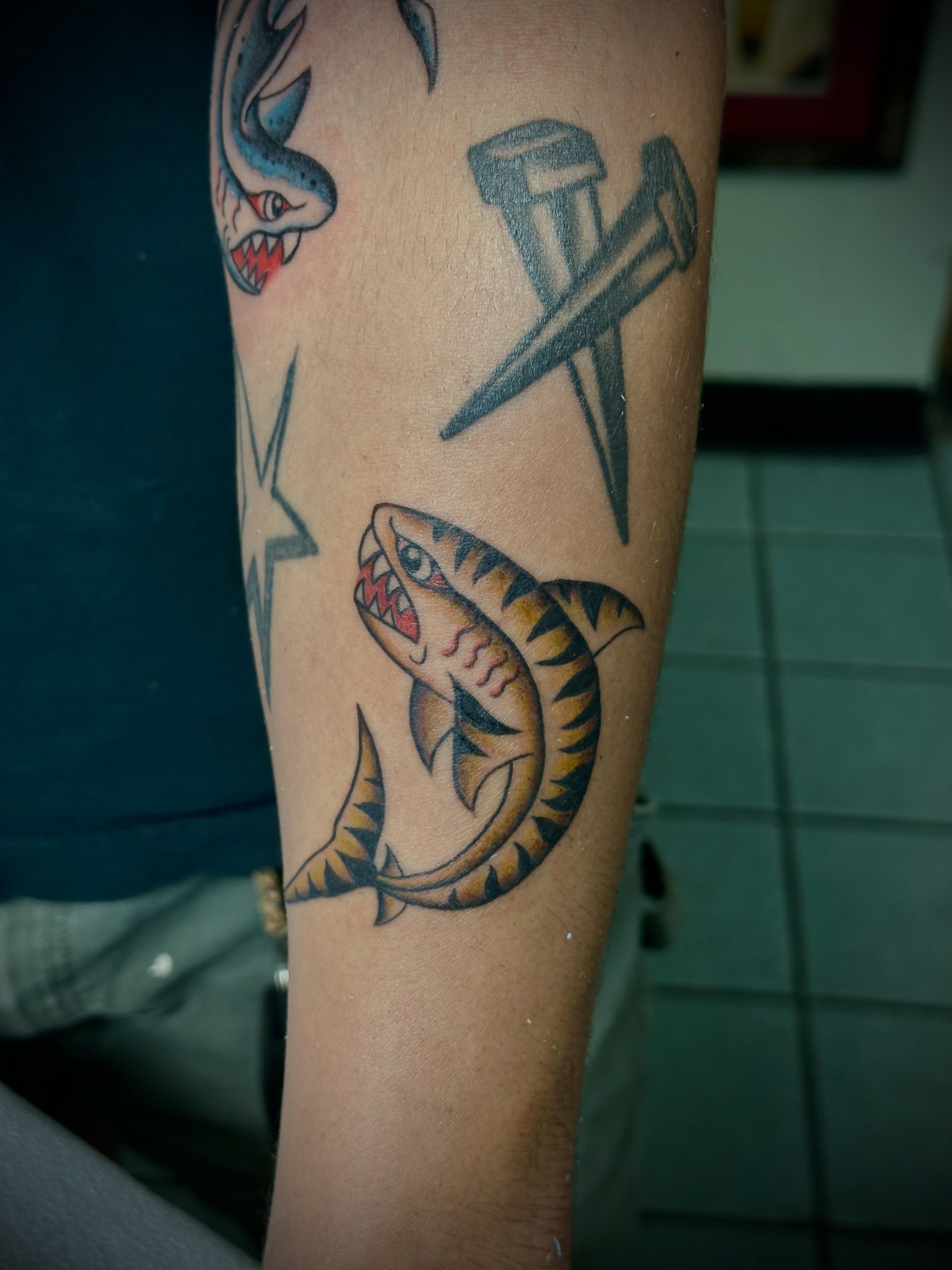 Shark American traditional tattoo on the forearm by 🥀Chloe Miller