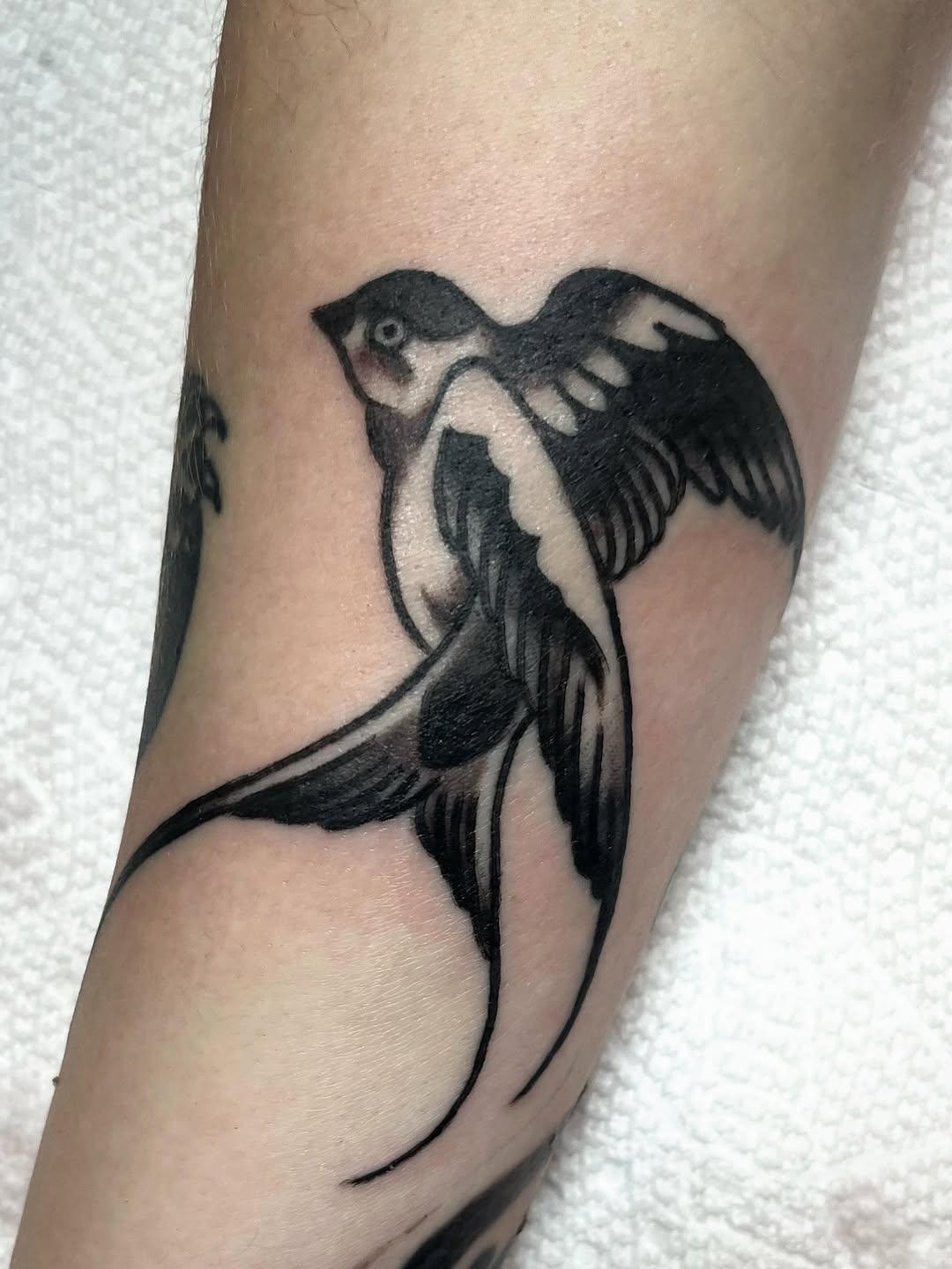 Tattoo by @hannah_ruddell — american_traditional