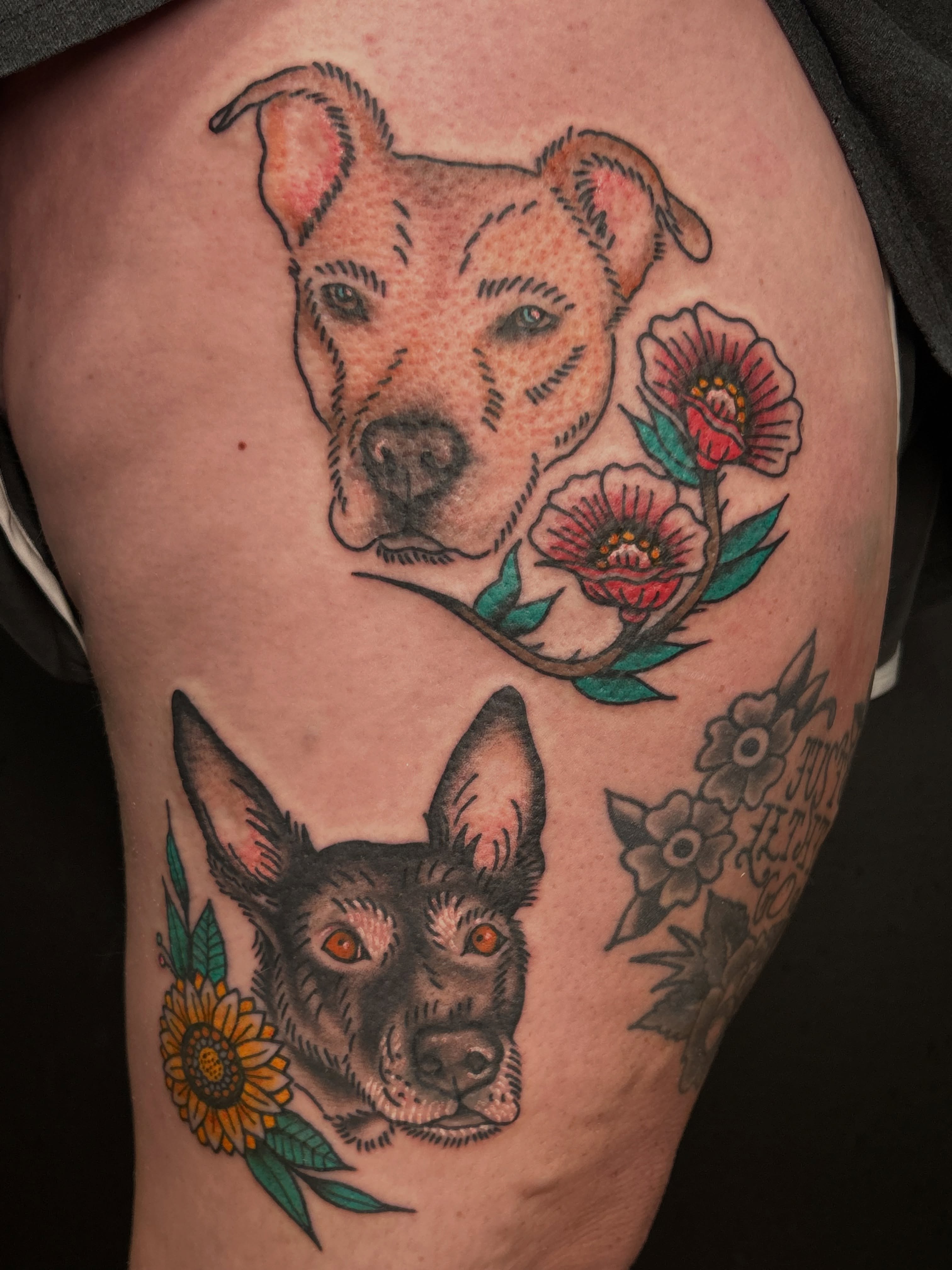 Dogs and flowers American traditional tattoo on the thigh by ๐๐ข๐ฉ๐๐ซ๐ฆ๐ข ๐๐ฌ๐ซ๐ก๐๐ถ๐ฆ
โจ