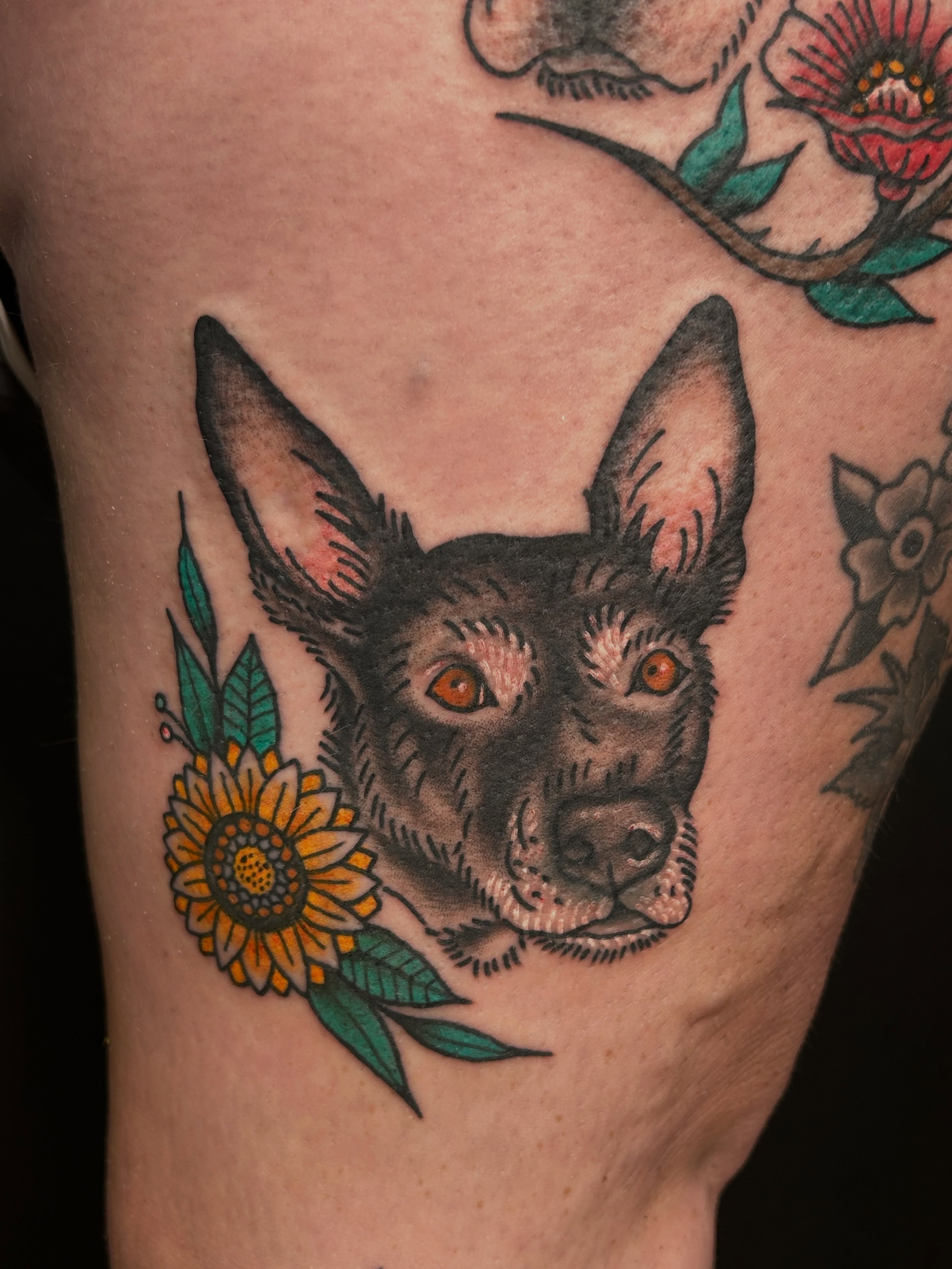 Dog head with sunflower American traditional tattoo on the forearm by ๐๐ข๐ฉ๐๐ซ๐ฆ๐ข ๐๐ฌ๐ซ๐ก๐๐ถ๐ฆ
โจ