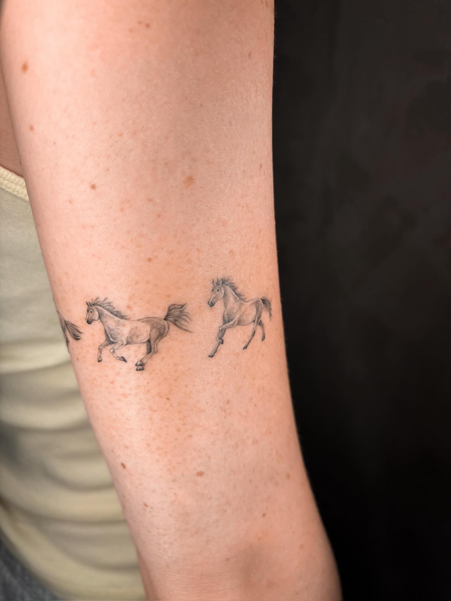 Horses black and grey tattoo on the forearm by Annie