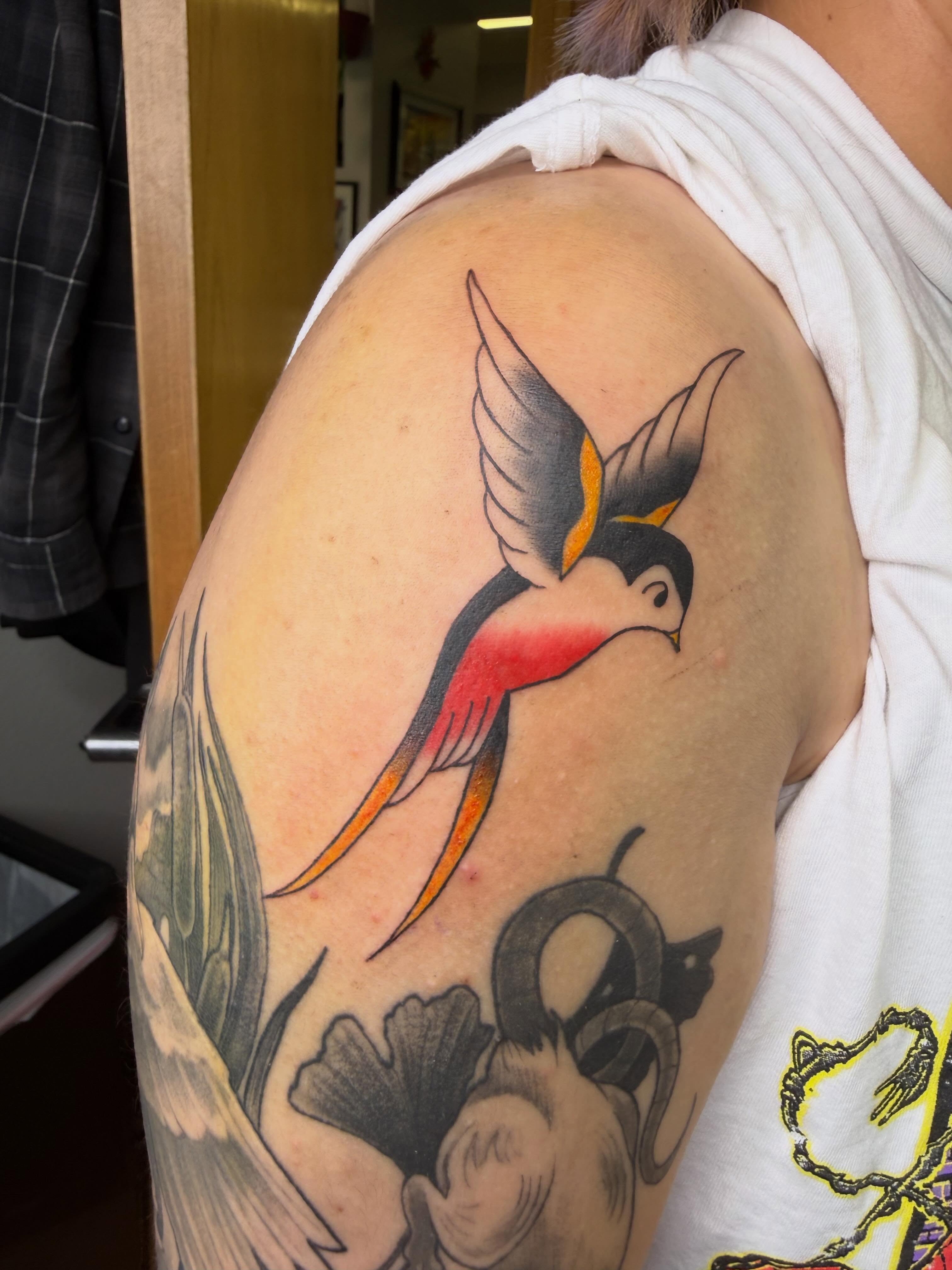 Bird American traditional tattoo on the shoulder by Liz🗡️Fort Collins🗡️Tattoo Apprentice
