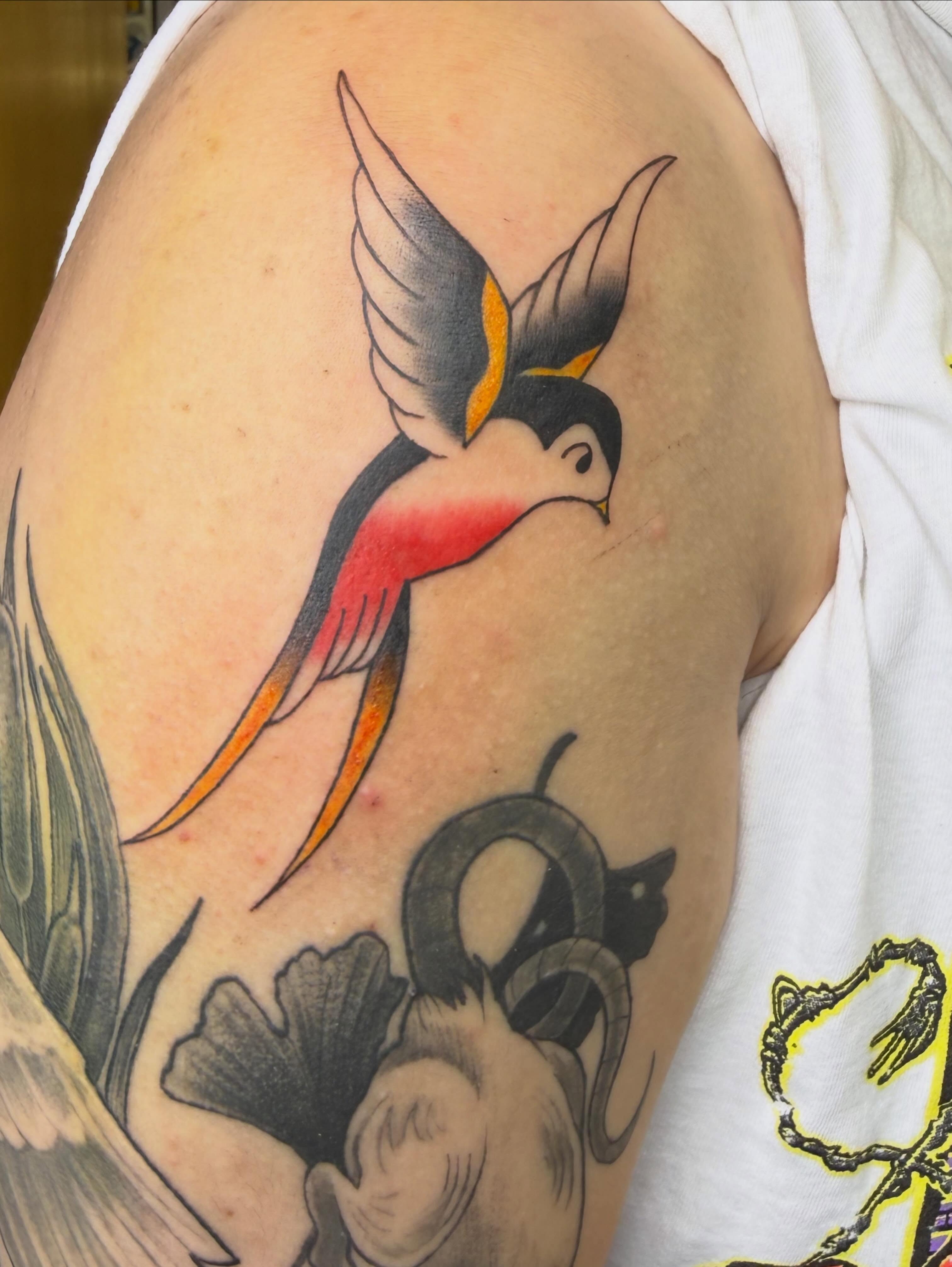 Bird American traditional tattoo on the upper arm by Liz🗡️Fort Collins🗡️Tattoo Apprentice