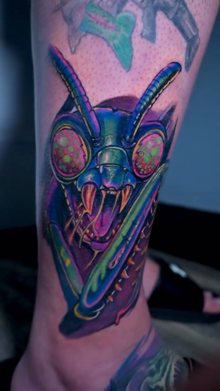 Praying mantis head American traditional tattoo on the forearm by William Pollock