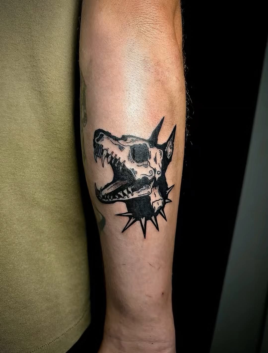 Dog skull with spiked collar realism tattoo on the forearm by JT.tattoos
