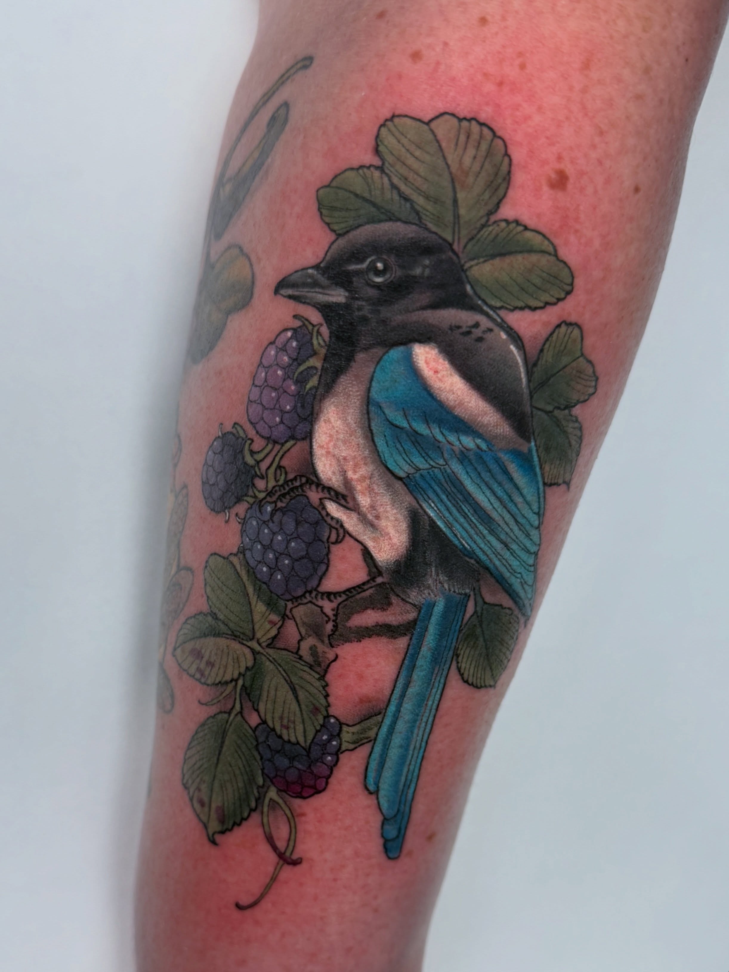 Tattoo by @tattoosbydingle — realism