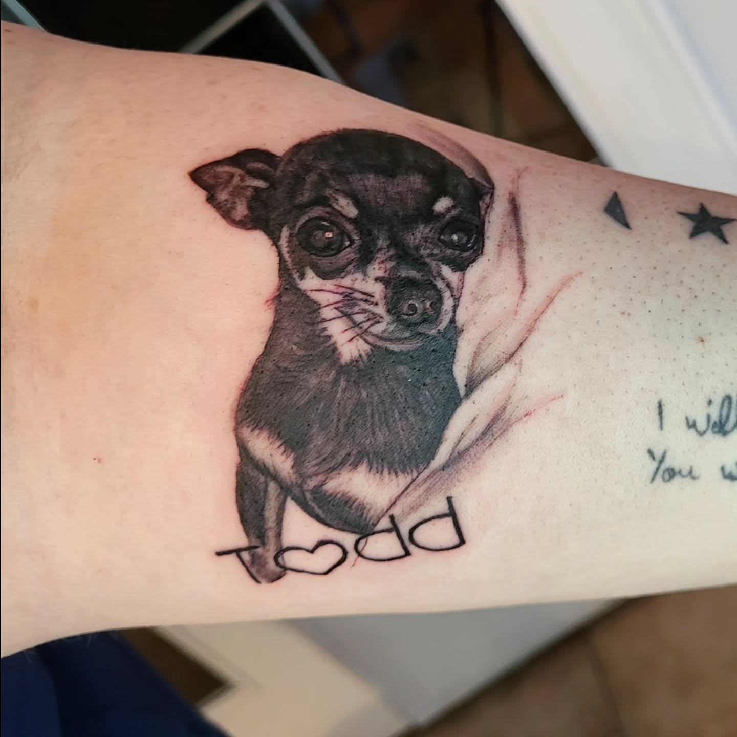 Tattoo by @ele_tattoos — realism