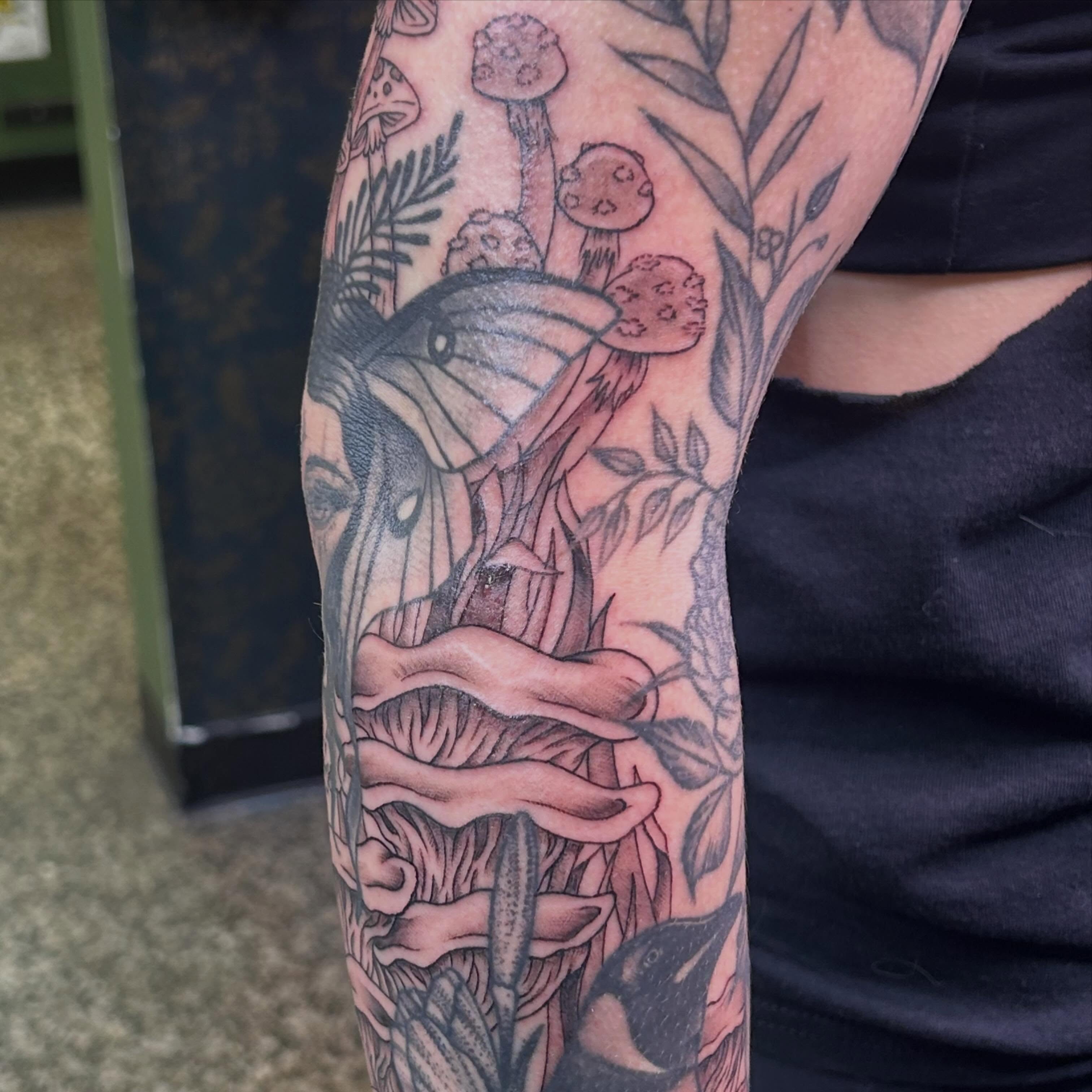 Dolphins and mushrooms realism tattoo on the forearm by Norfolk Tattooer, Norfolk, Virginia
