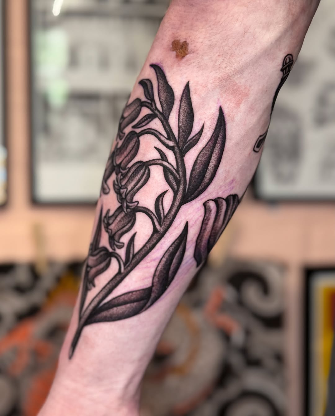 Lily black and grey tattoo on the forearm by Jae Traditional Tattoo