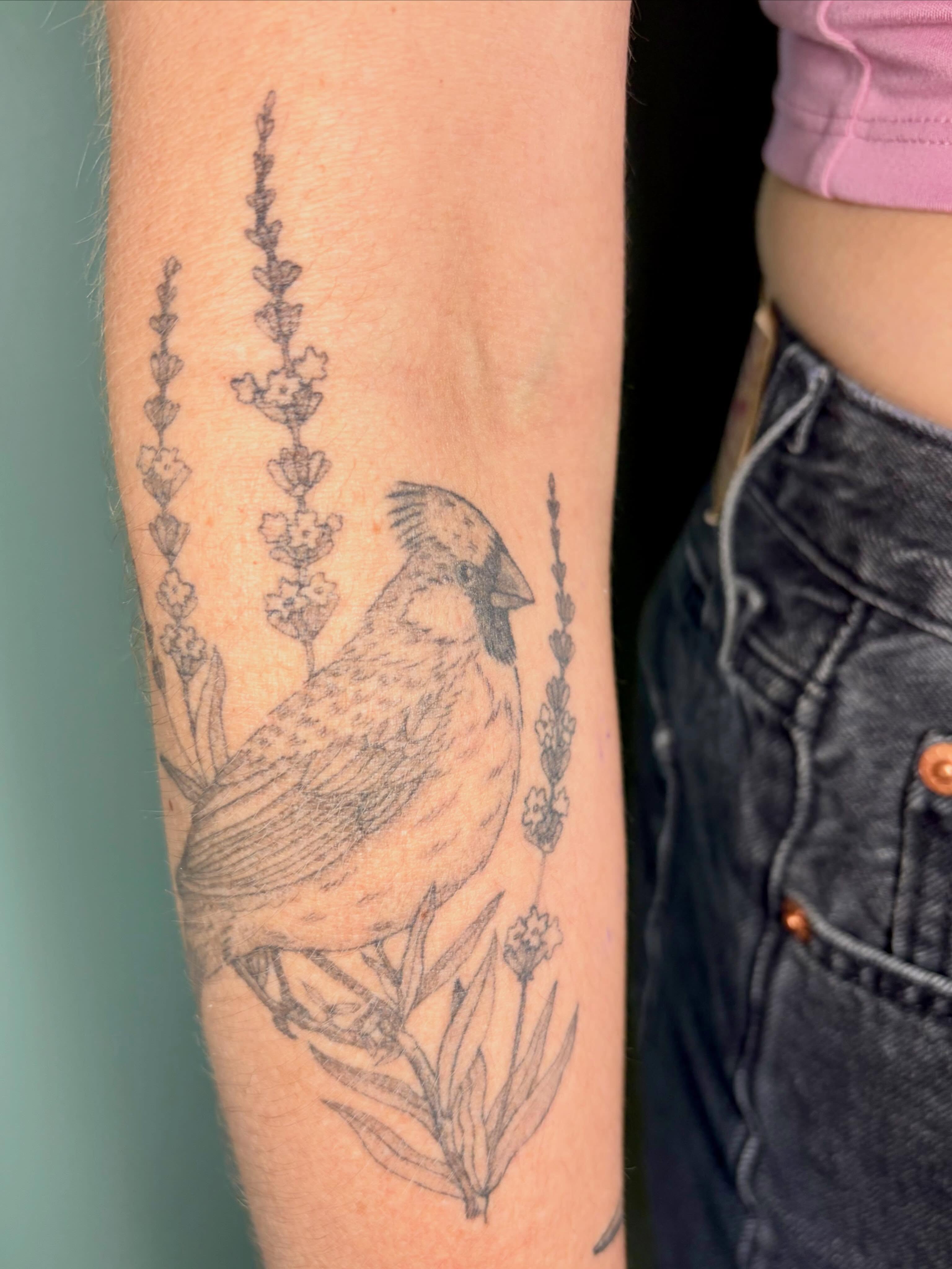 Cardinal bird realism tattoo on the forearm by Sarah Roach