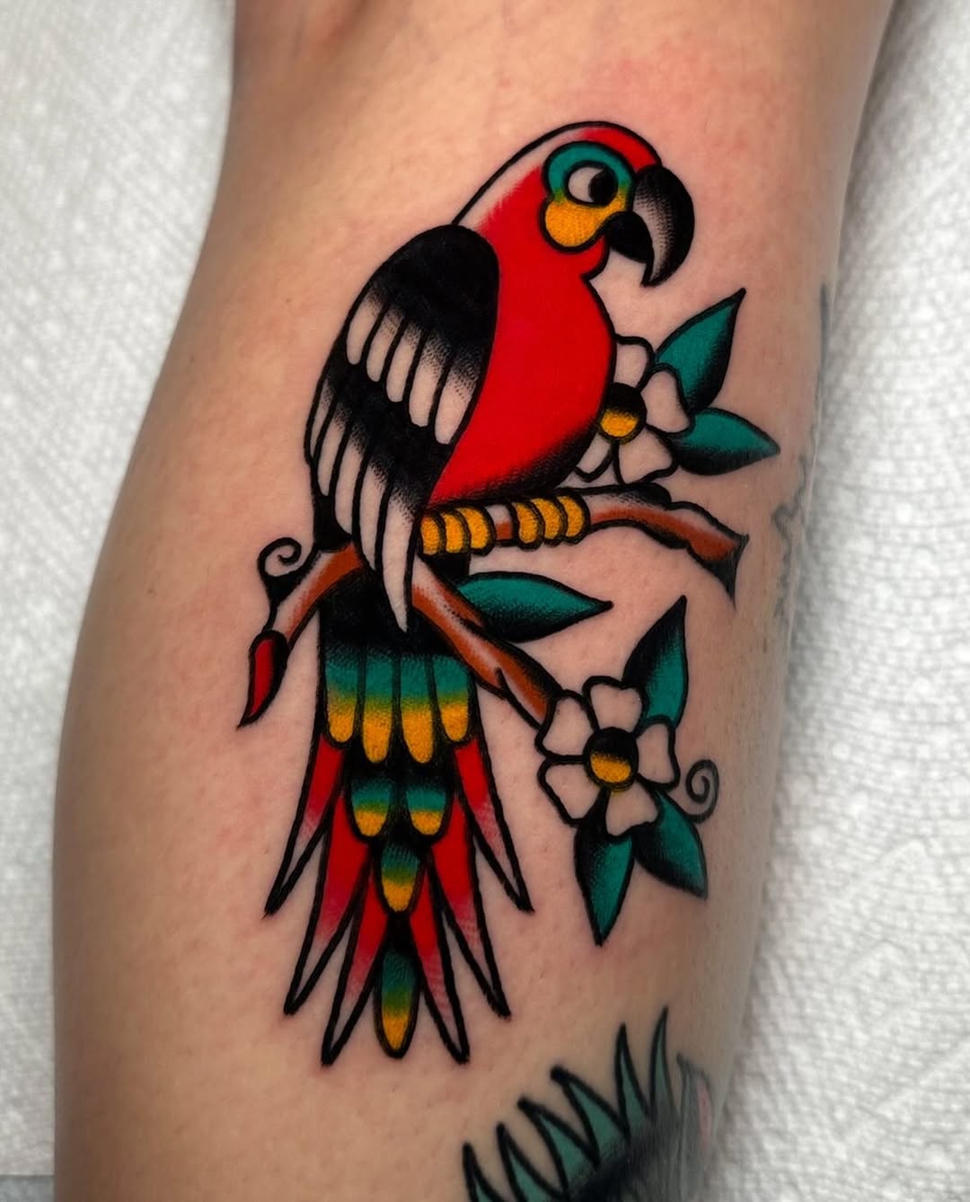 Parrot on a branch with flowers watercolor tattoo on the forearm by Zahra Niedermann