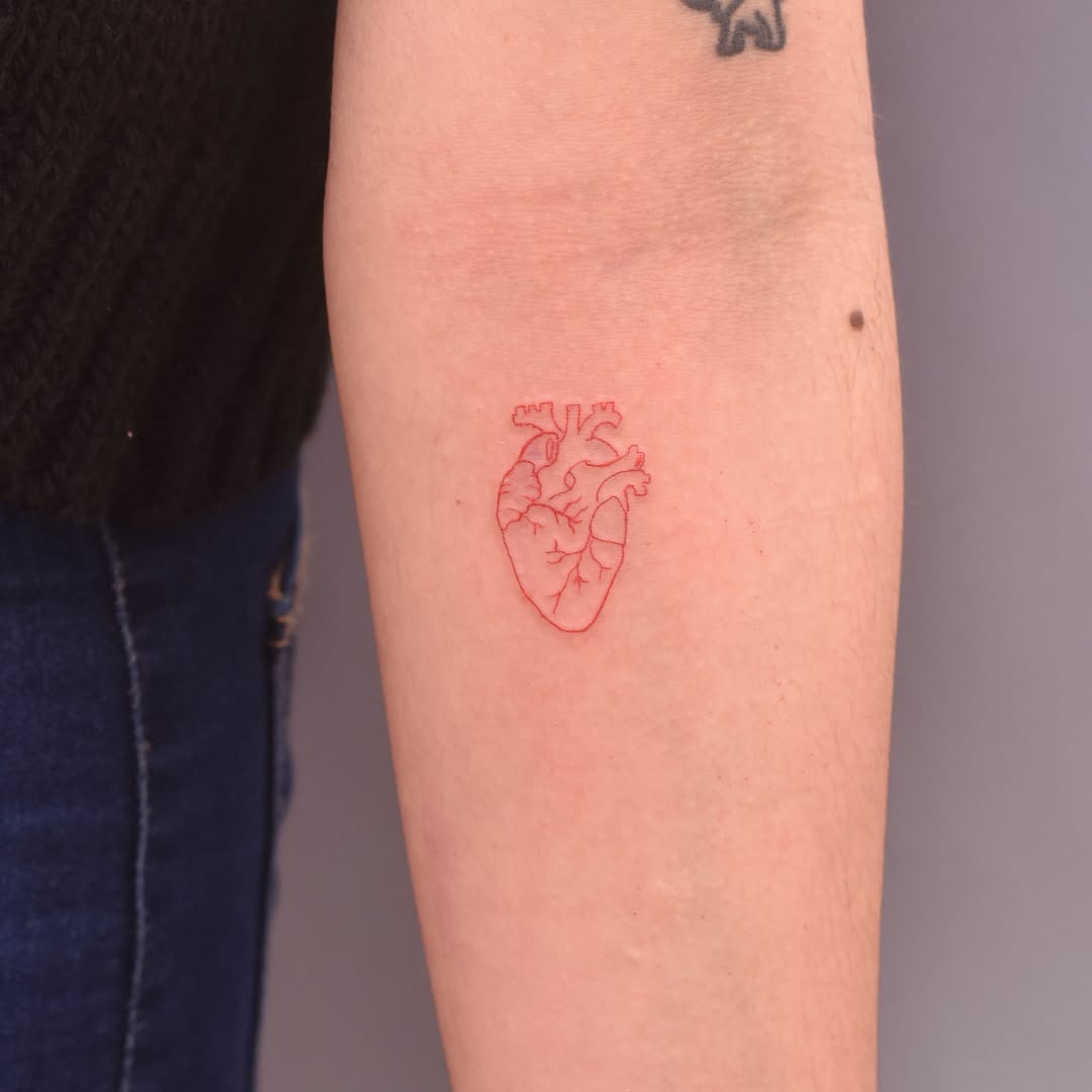 Anatomical heart realism tattoo on the forearm by Eleana, North Miami, Florida