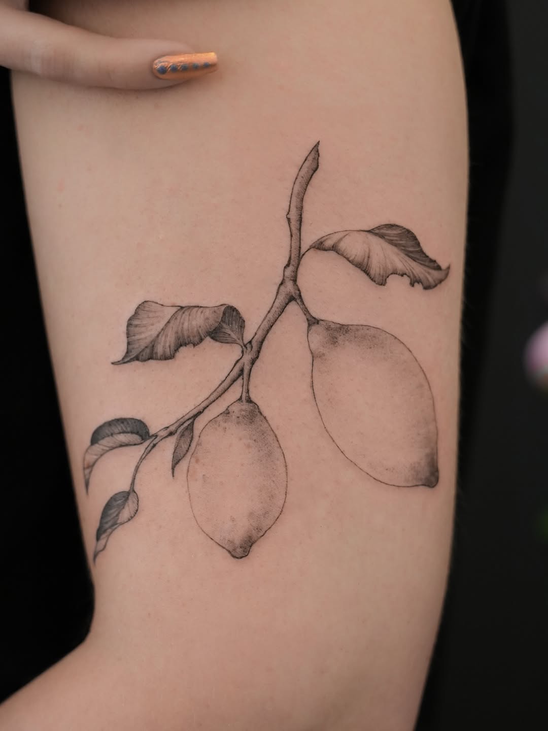 Tattoo by @junh_tattoo — fine_line, black_and_grey