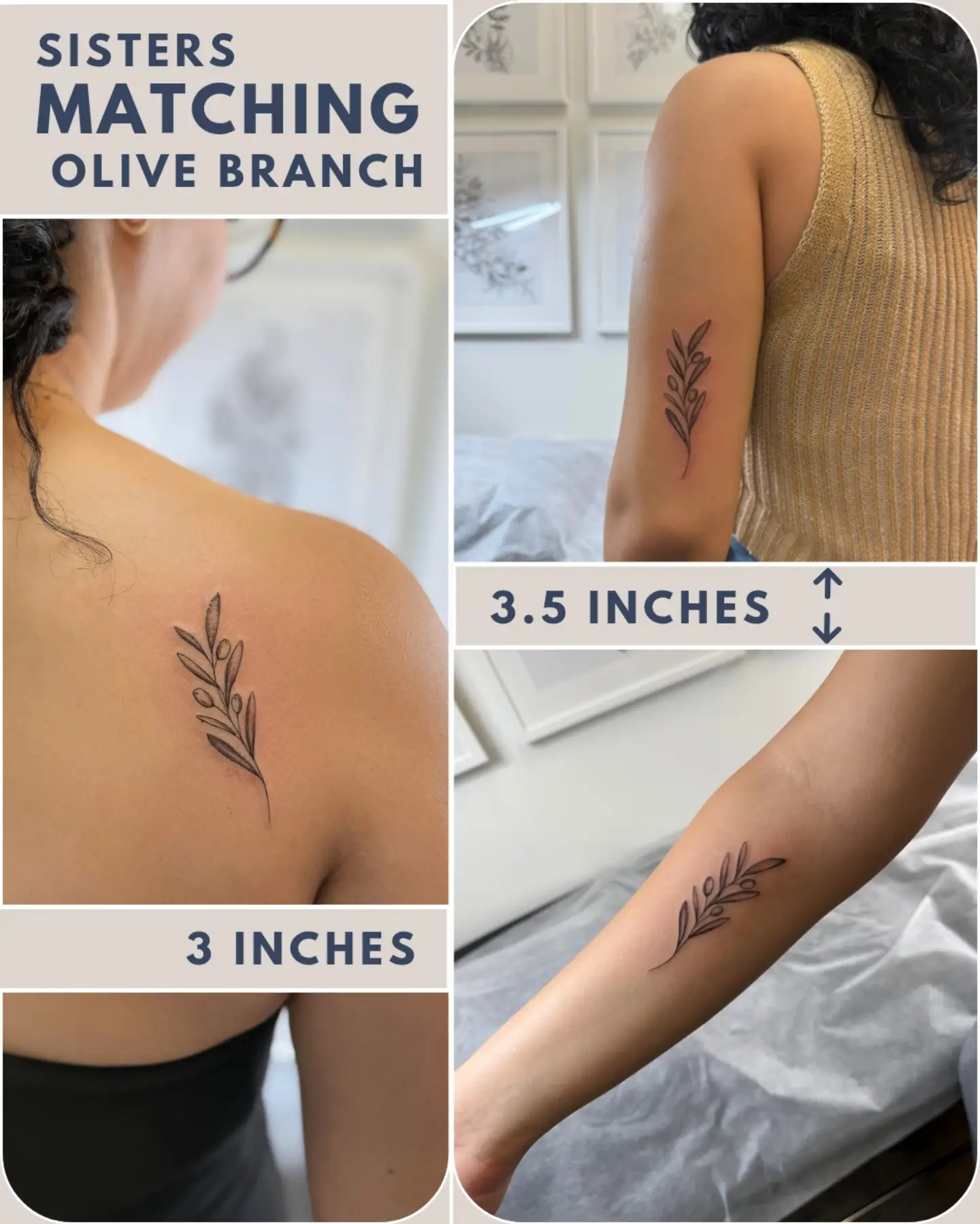 Olive branch fine line tattoo on the upper arm by Floral Fineline Tattoo
