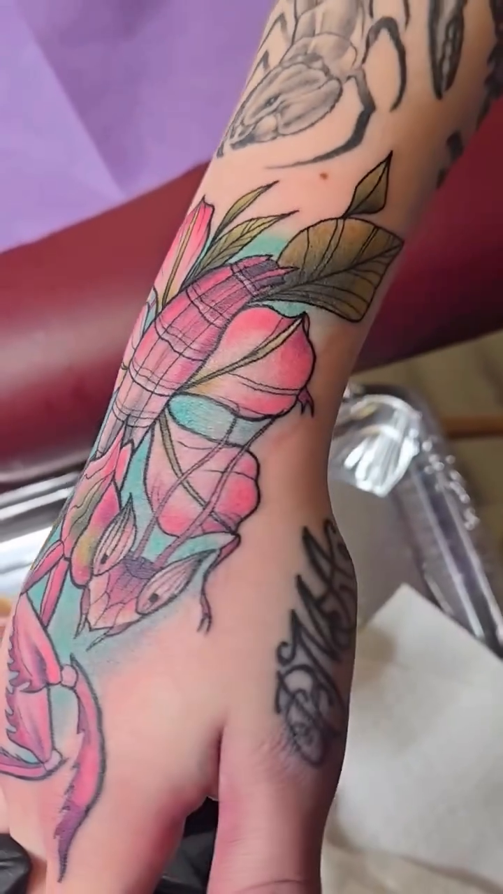 Praying mantis with plaid pattern neo-traditional tattoo on the forearm by Sarah Christine