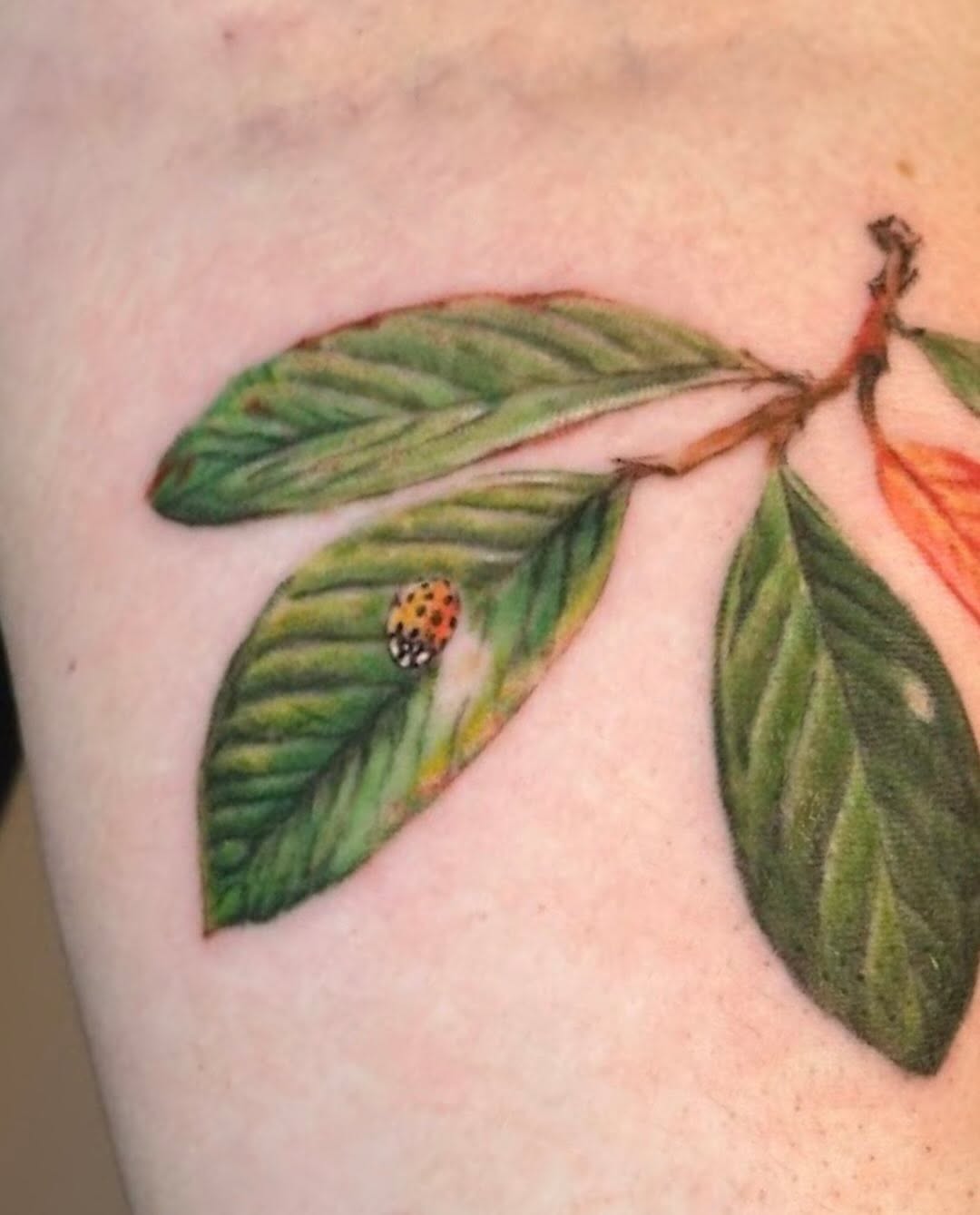 Tattoo by @sighthovnd — realism, fine_line