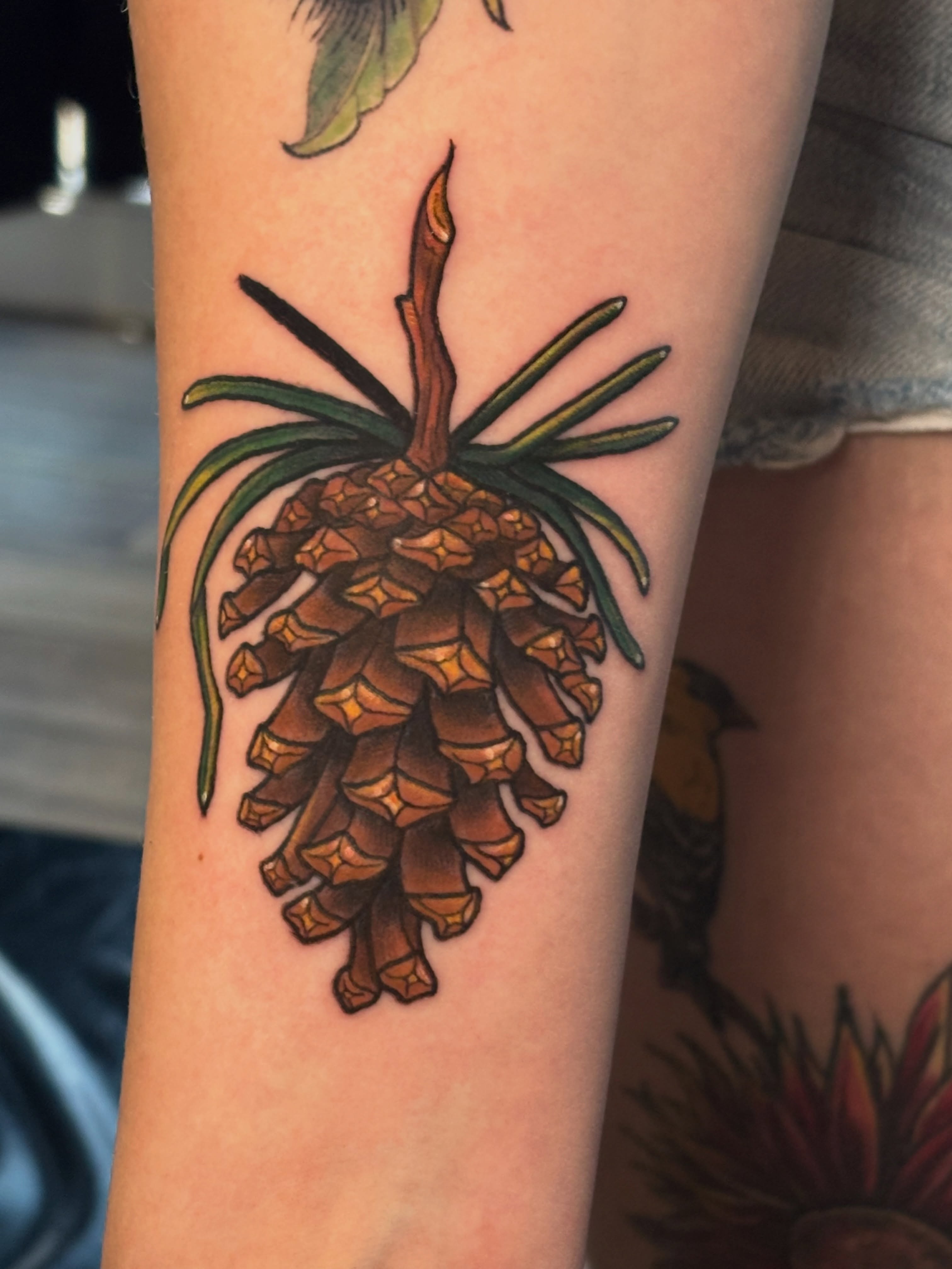 Pinecone American traditional tattoo on the forearm by Bekah Smith