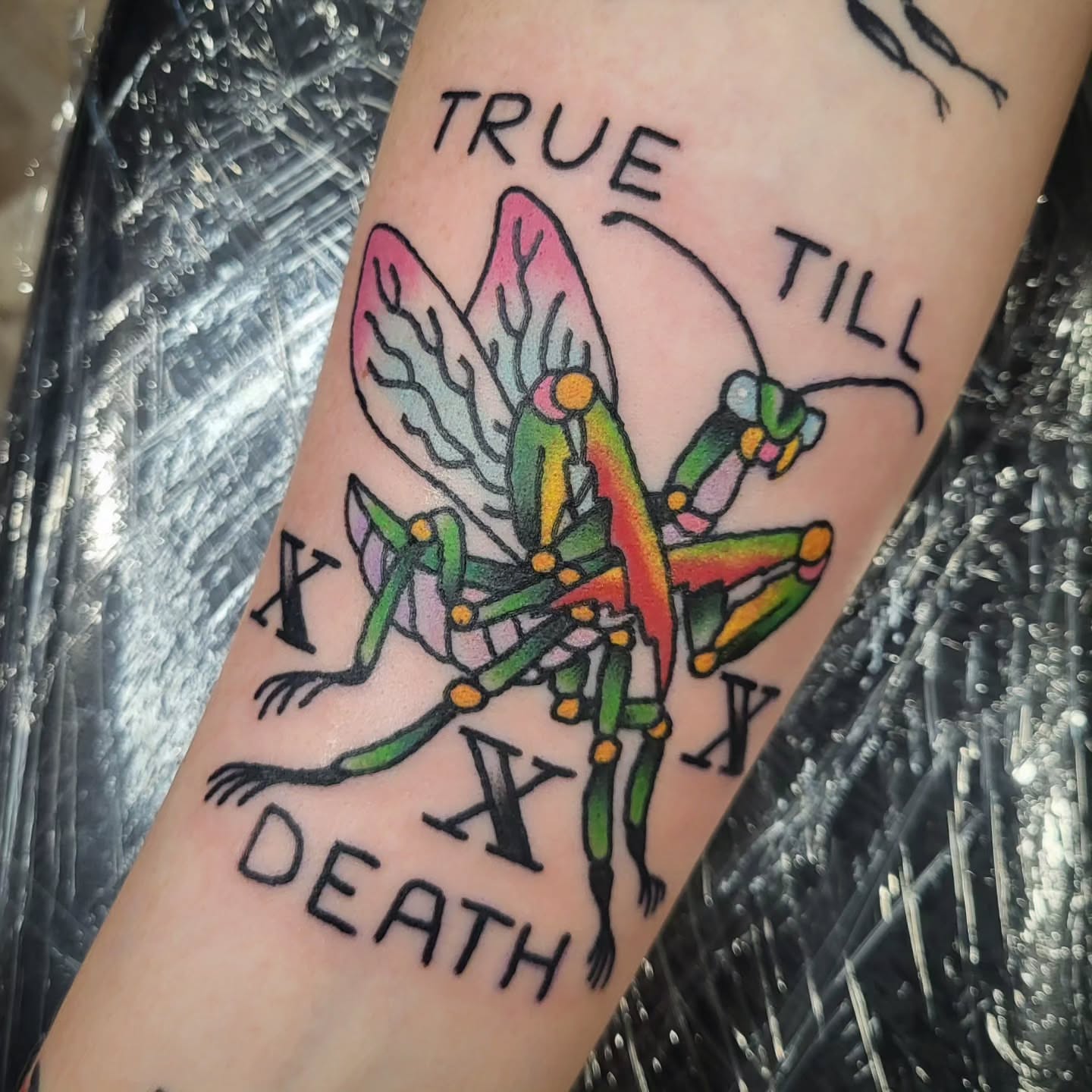 Grasshopper American traditional tattoo on the forearm by Sloan Smith