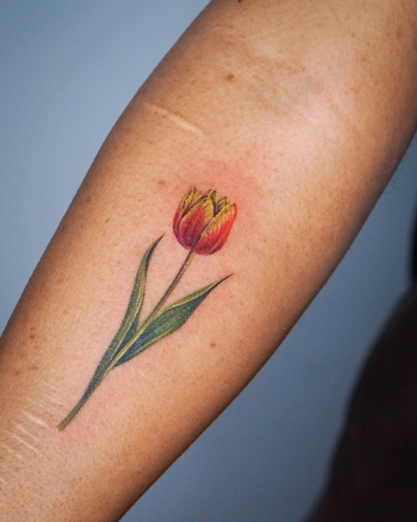 Tattoo by @gemma_tattooer — realism