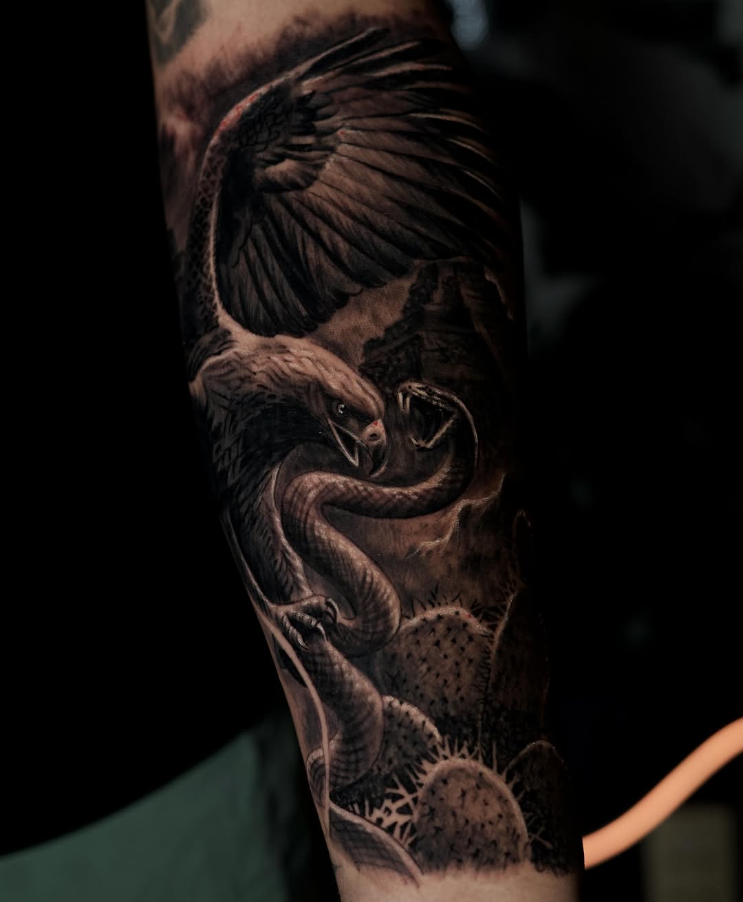 Eagle fighting snake with cactus realism tattoo on the forearm by Bapone