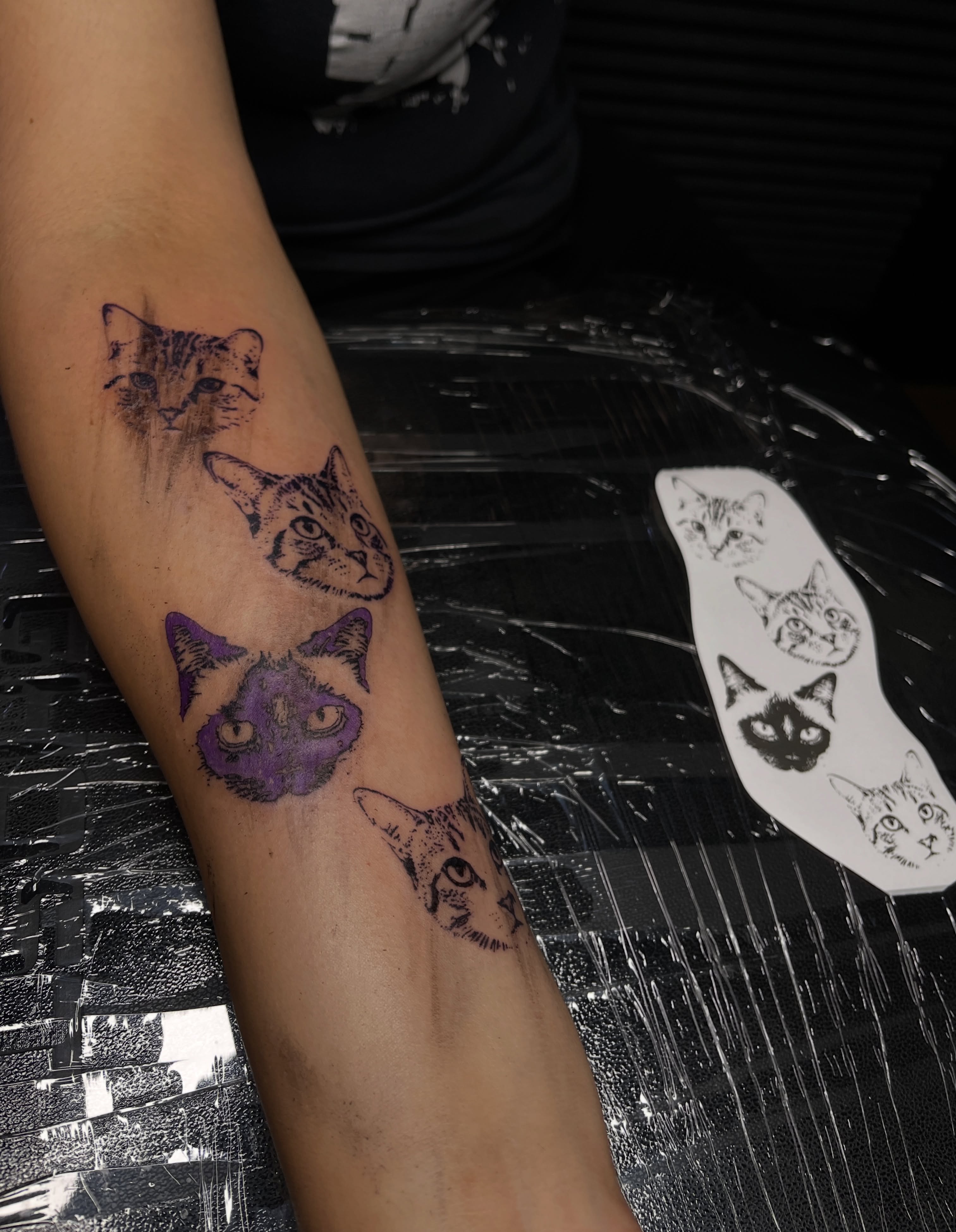 Cat heads black and grey tattoo on the forearm by clarissa