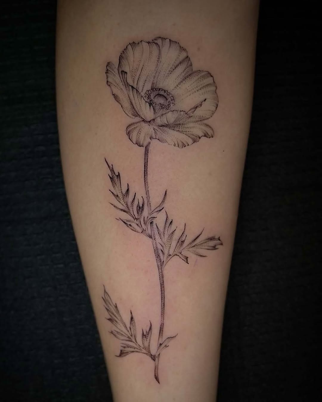 Tattoo by @southpaw.stipple — fine_line, realism