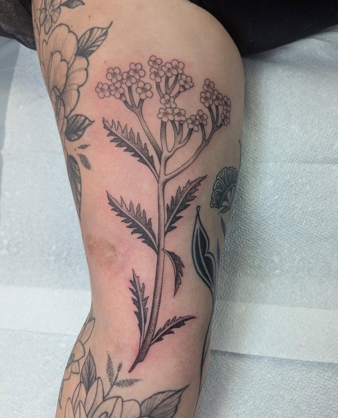 Tattoo by @courtneyy.tattoos — fine_line, black_and_grey