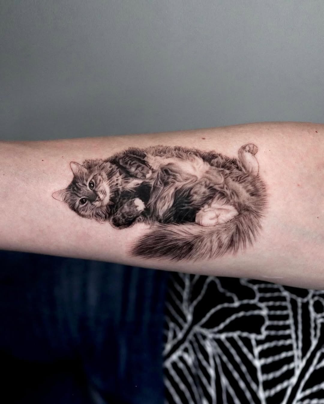 Fluffy cat laying on its back realism tattoo on the forearm by LA Tattoo Yeono