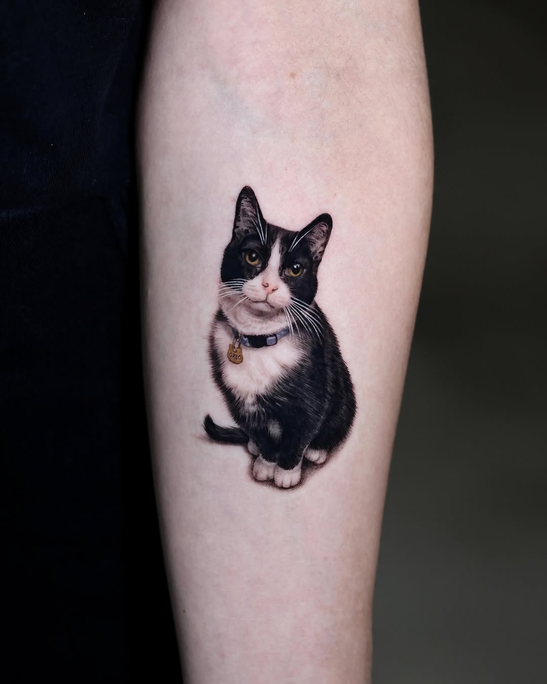 Black and white cat portrait realism tattoo on the forearm by LA Tattoo Yeono