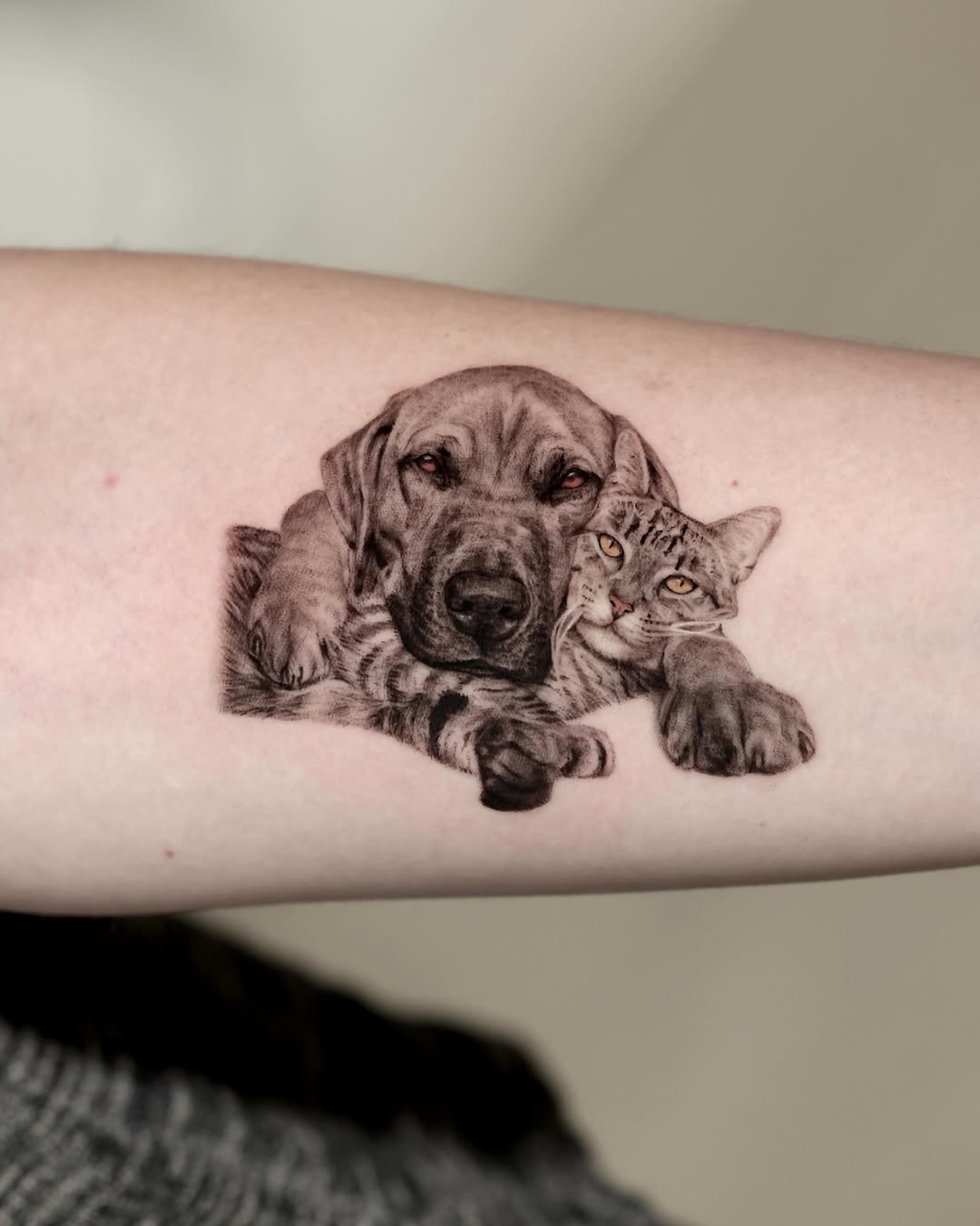 Dog and cat portrait realism tattoo on the forearm by LA Tattoo Yeono