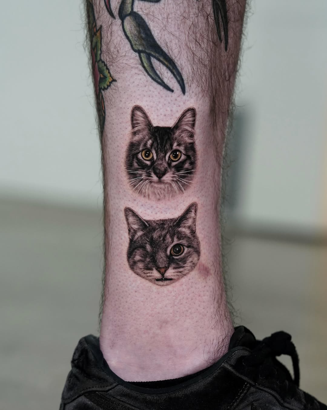 Two cat portraits realism tattoo on the forearm by LA Tattoo Yeono