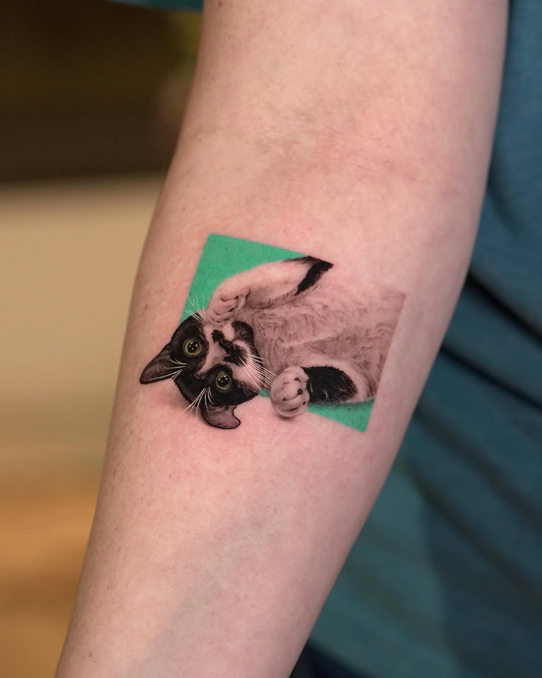 Cat portrait realism tattoo on the forearm by LA Tattoo Yeono